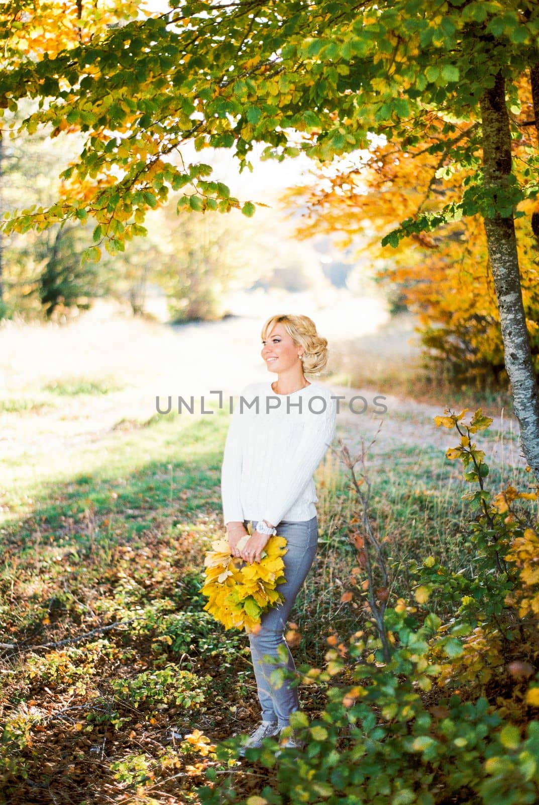 Happy woman with a bouquet of yellow leaves stands by a tree. High quality photo