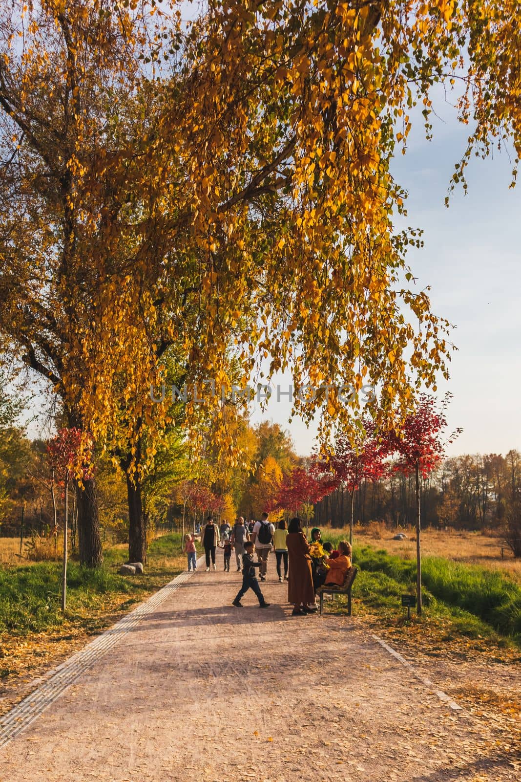 People walk along the autumn alley of the Botanical Garden of the city of Almaty in Kazakhstan on sunny day, copy space, vertical. Almaty, Kazakhstan - October 16, 2022