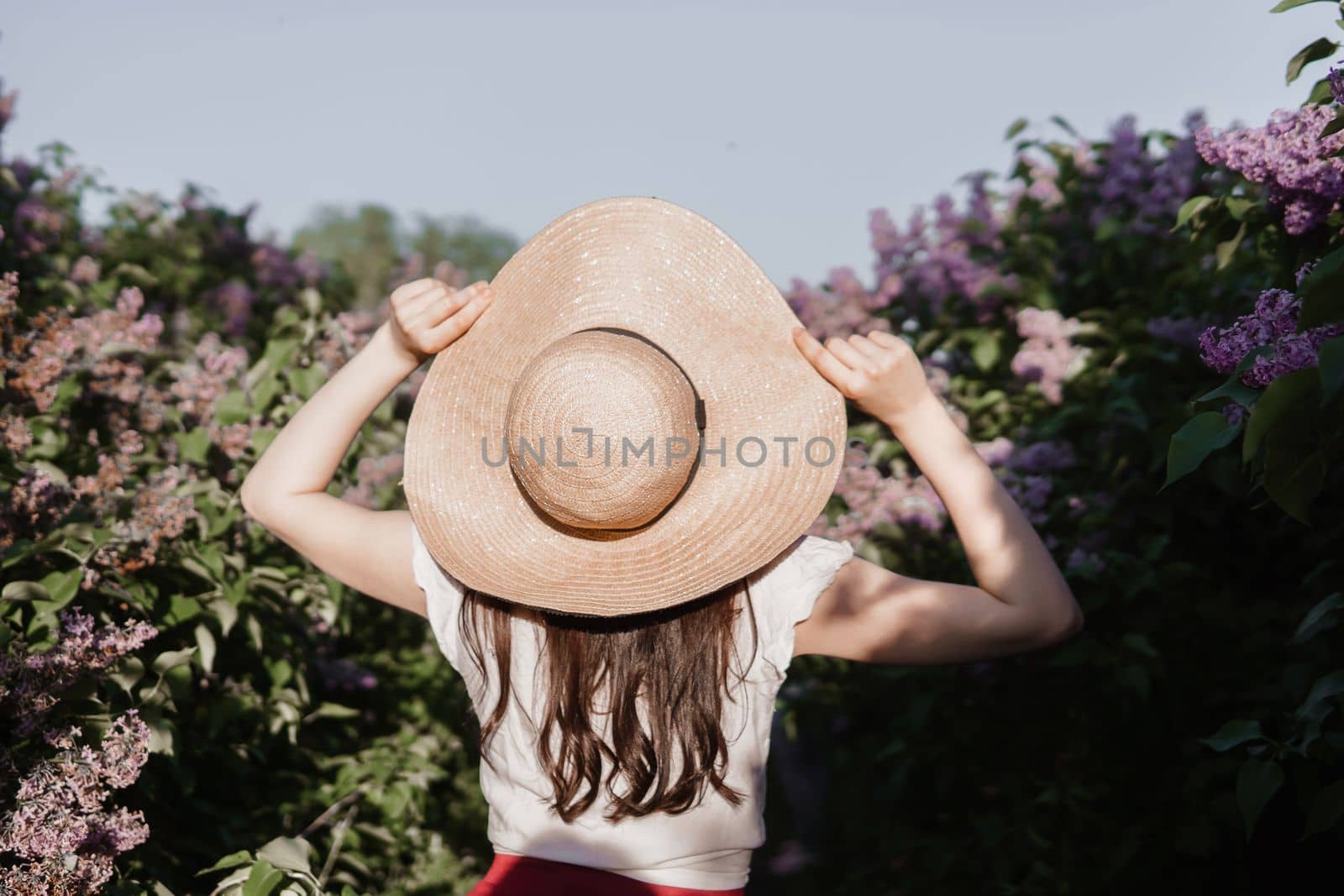 A fashionable girl with dark hair, a spring portrait in lilac tones in summer. Bright professional makeup. Rear view