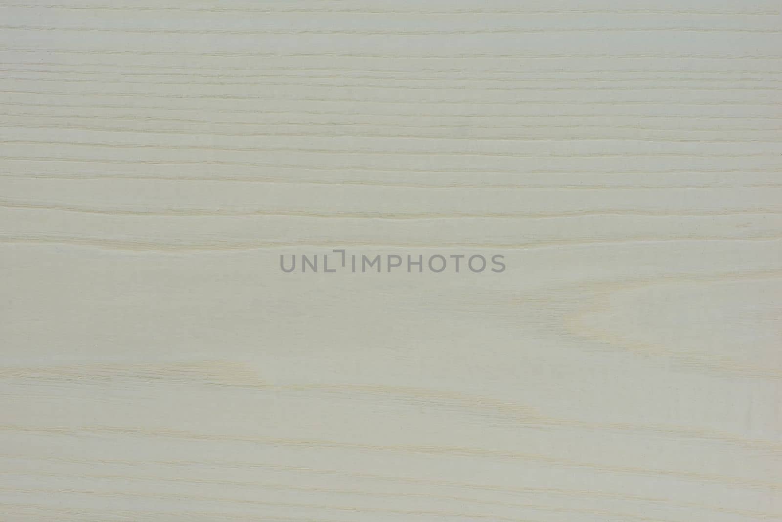 Texture of white wood. Large textured ash wood, painted white. White ash. by SERSOL