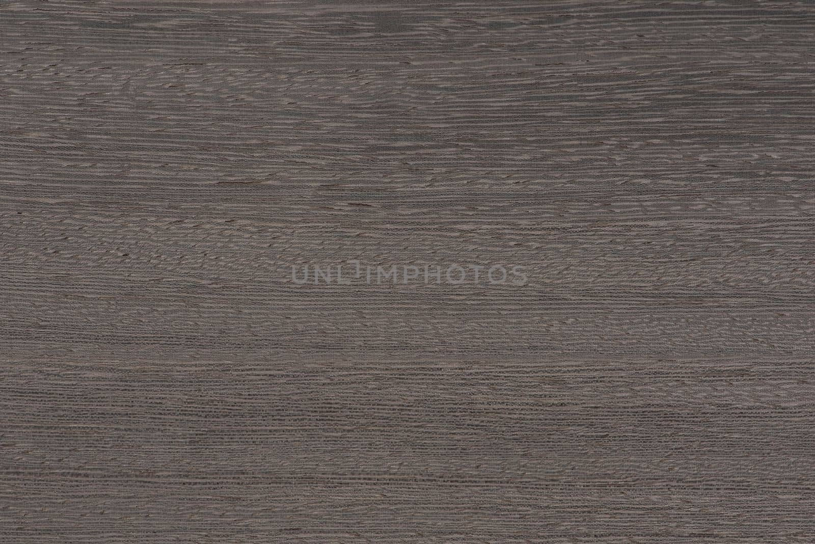 Texture of exotic wood. Close-up of the texture of lati wood, the structure of the breed of the aurican tree lati silver ash color by SERSOL