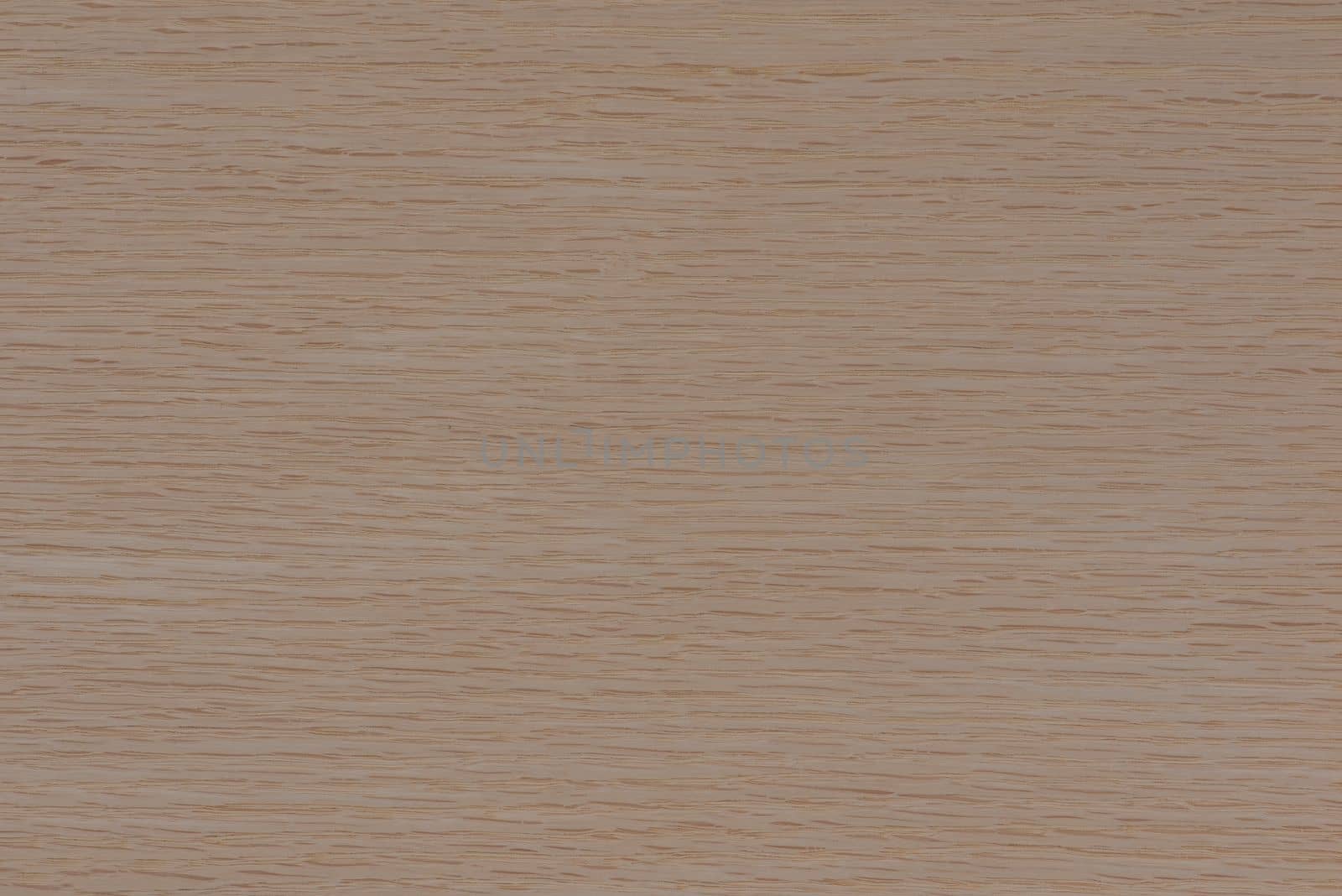 Texture of oak. Texture of natural solid wood. Oak board with a white tint, bleached wood for the production of furniture, floors or doors. by SERSOL