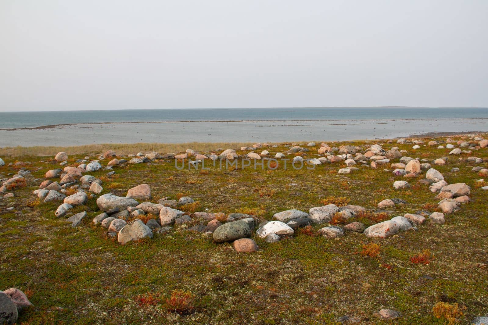 Remains of Inuit tent ring along the coast of Hudson Bay north of Arviat at a place called Qikiqtarjuq, Nunavut, Canada