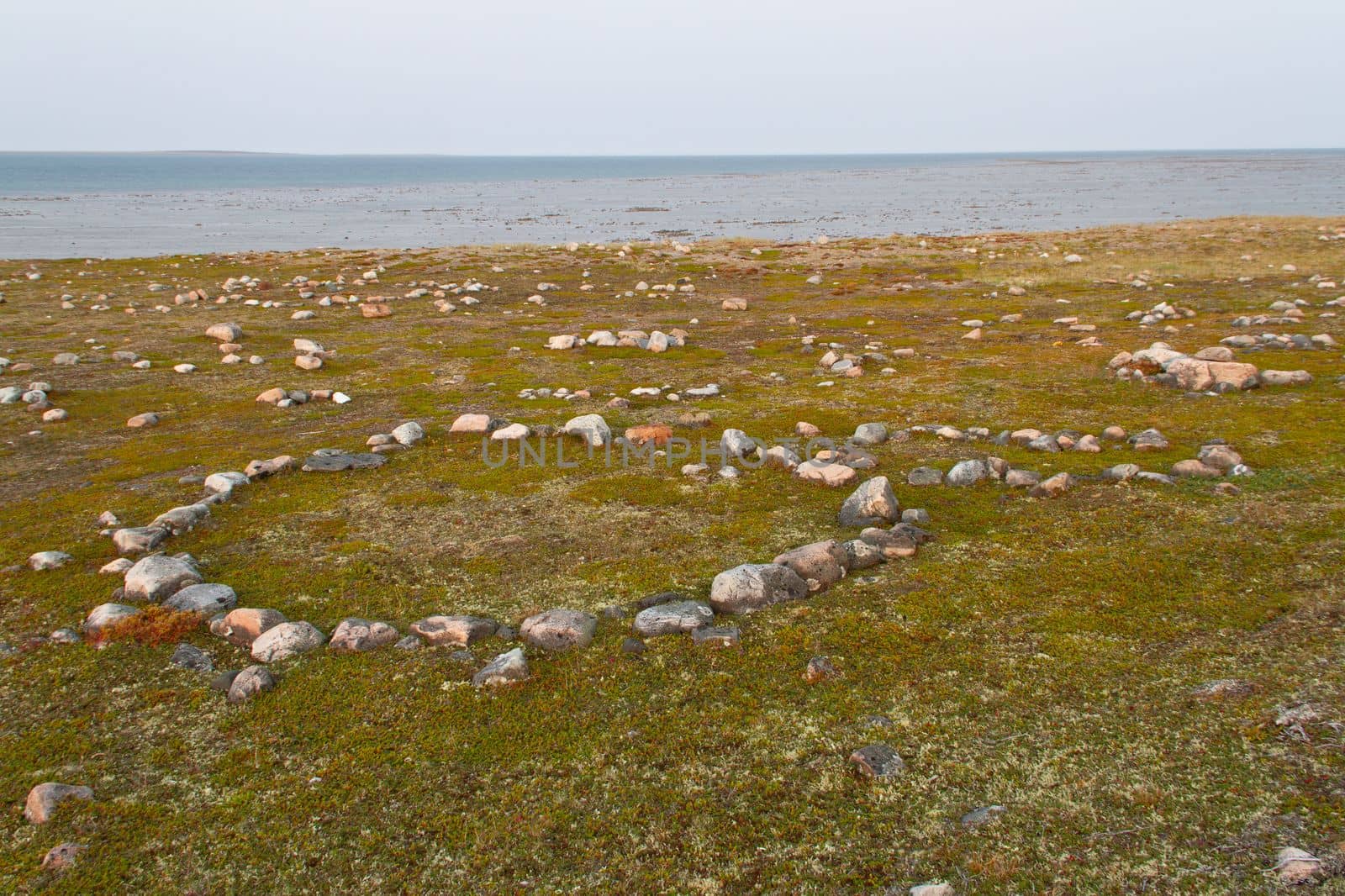 Remains of several Inuit tent rings along the coast of Hudson Bay north of Arviat at a place called Qikiqtarjuq by Granchinho