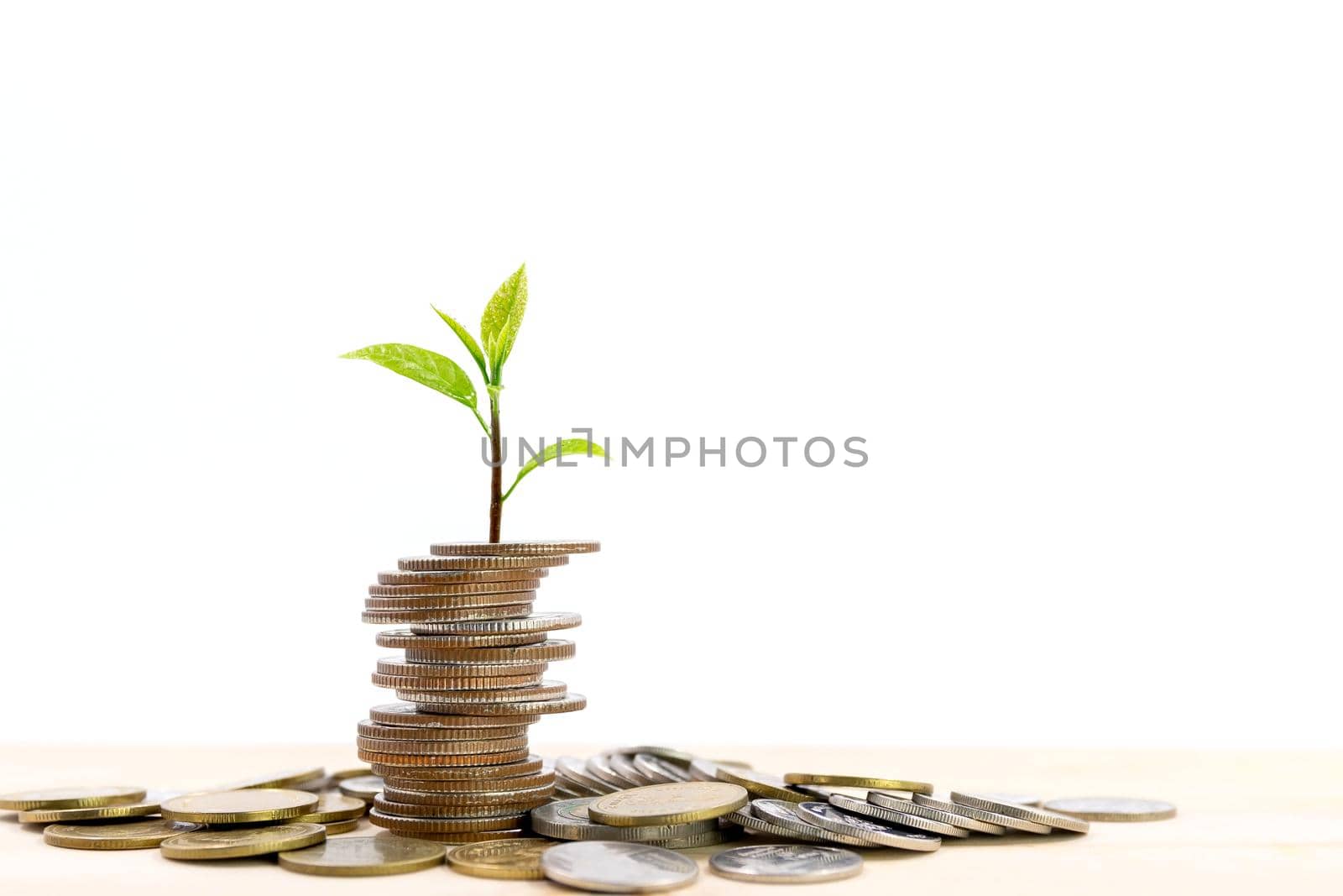 Small tree on the top of a pile of coins isolated on white background, used for business ideas and financial growth. by wattanaphob