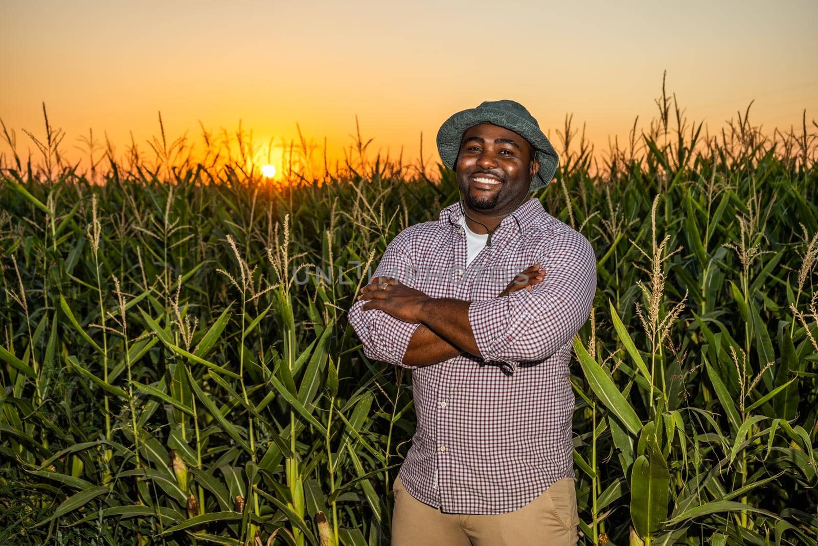 Farmer is standing in his growing corn field. He is satisfied because of good progress of plants.