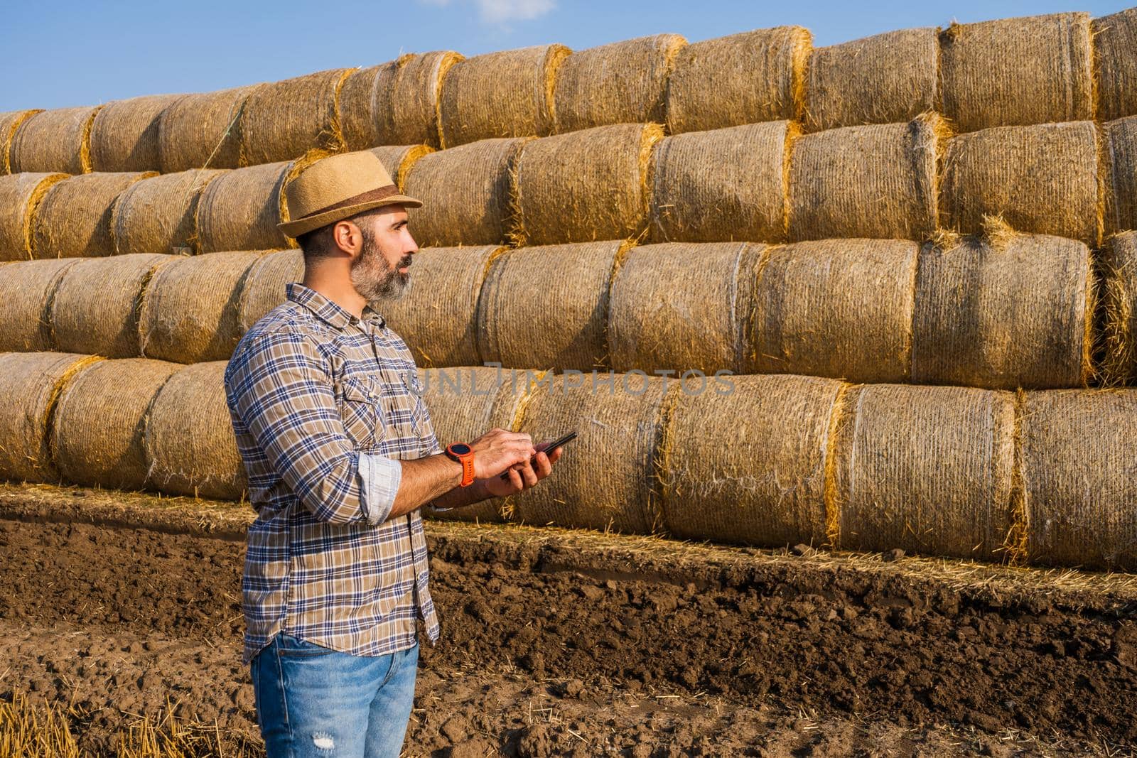 Farmer is standing beside bales of hay. He is examining straw after successful harvesting.