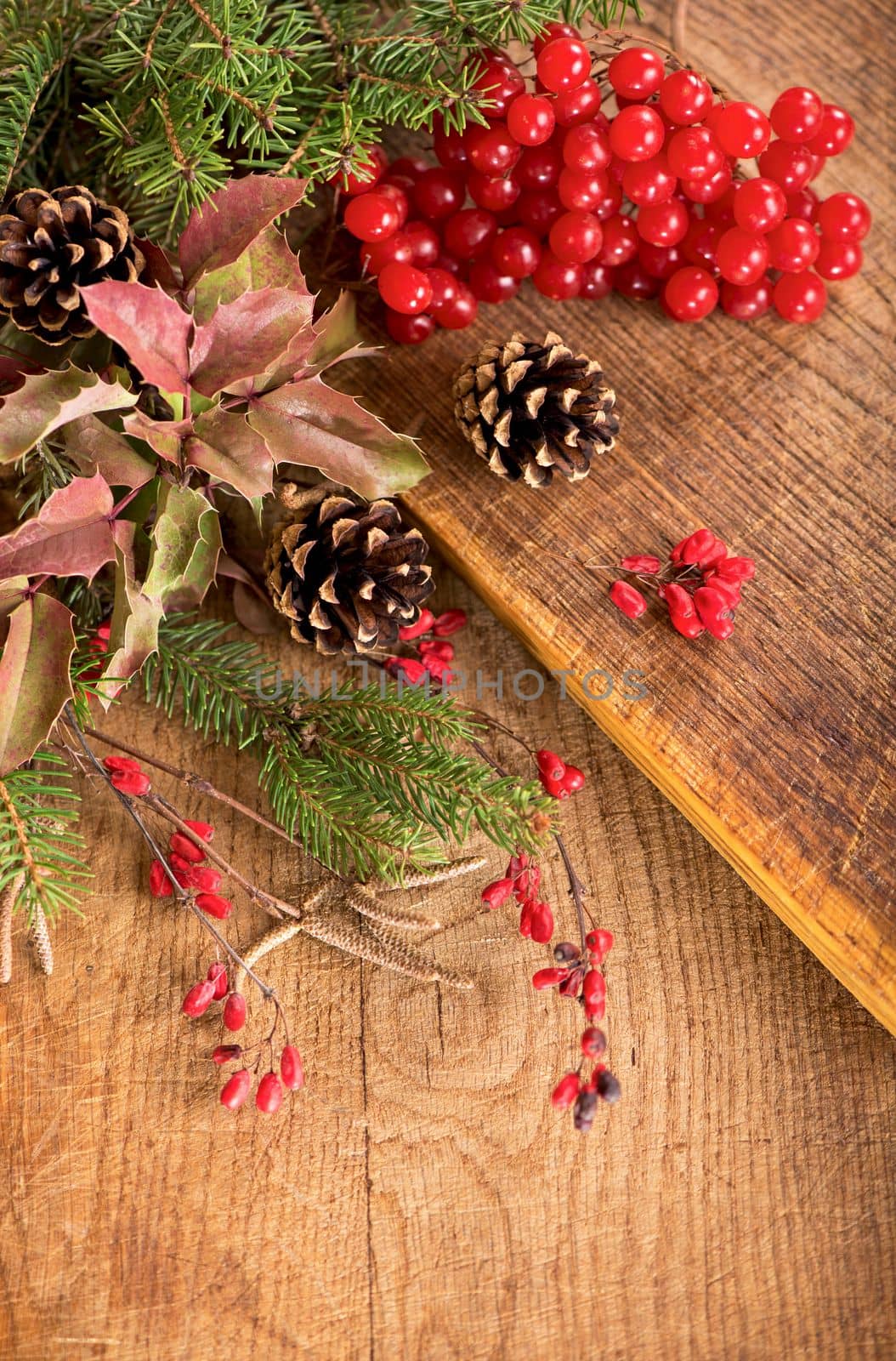 branches of holly, pine cones, mountain ash berries on wooden background by aprilphoto