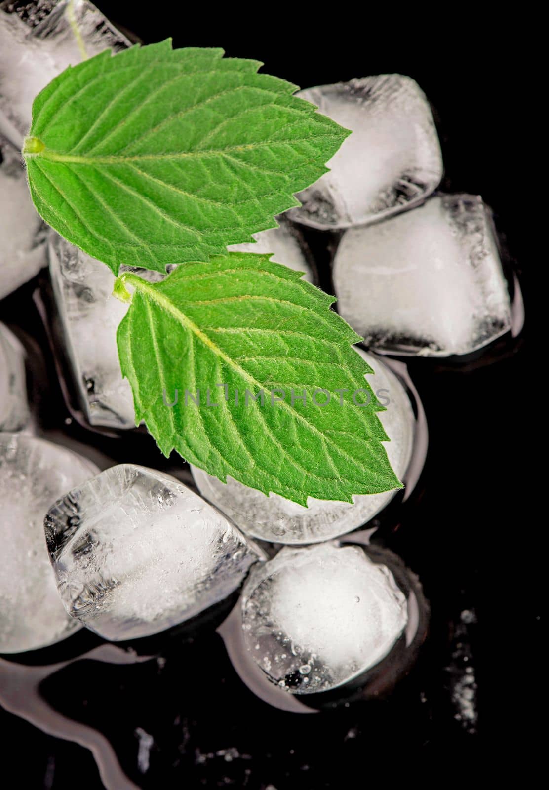 Cocktail preparation. Ice cube with mint leaves on black background by aprilphoto