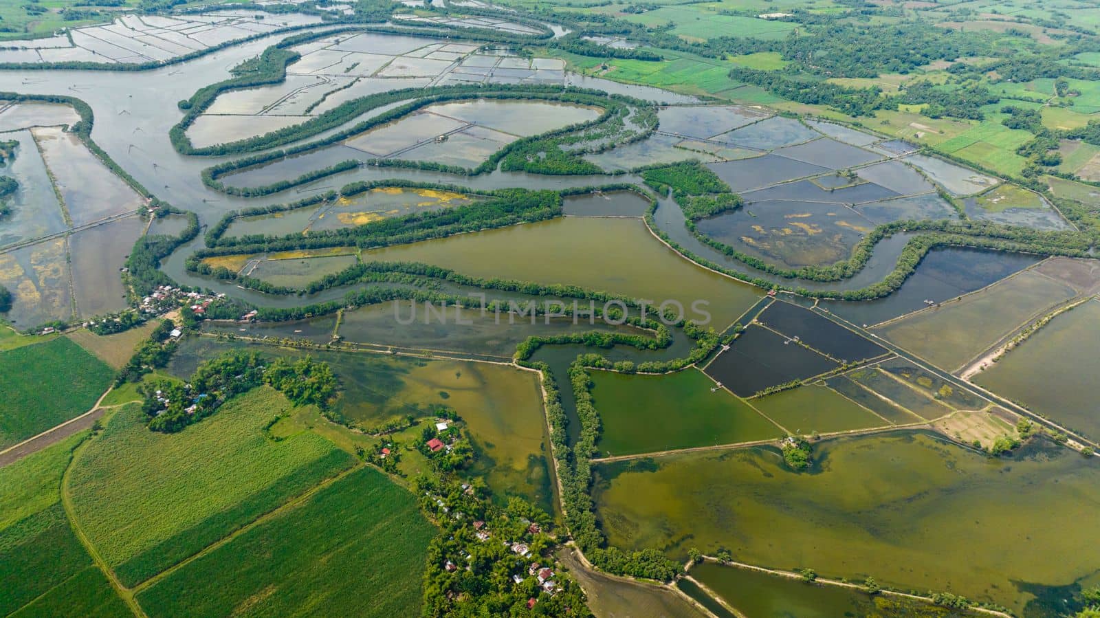 Aerial drone of river among rice fields and farmland. Agricultural landscape. Hinigaran River. Negros, Philippines