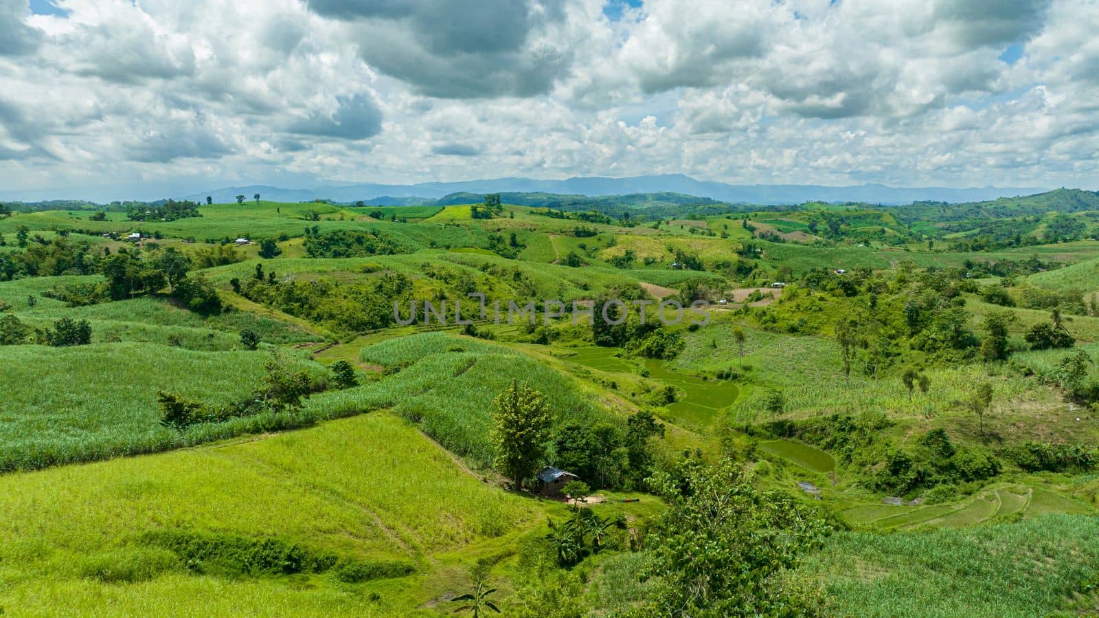 Top view of plantations of sugar cane and agricultural land on the slopes of the hills. Negros, Philippines