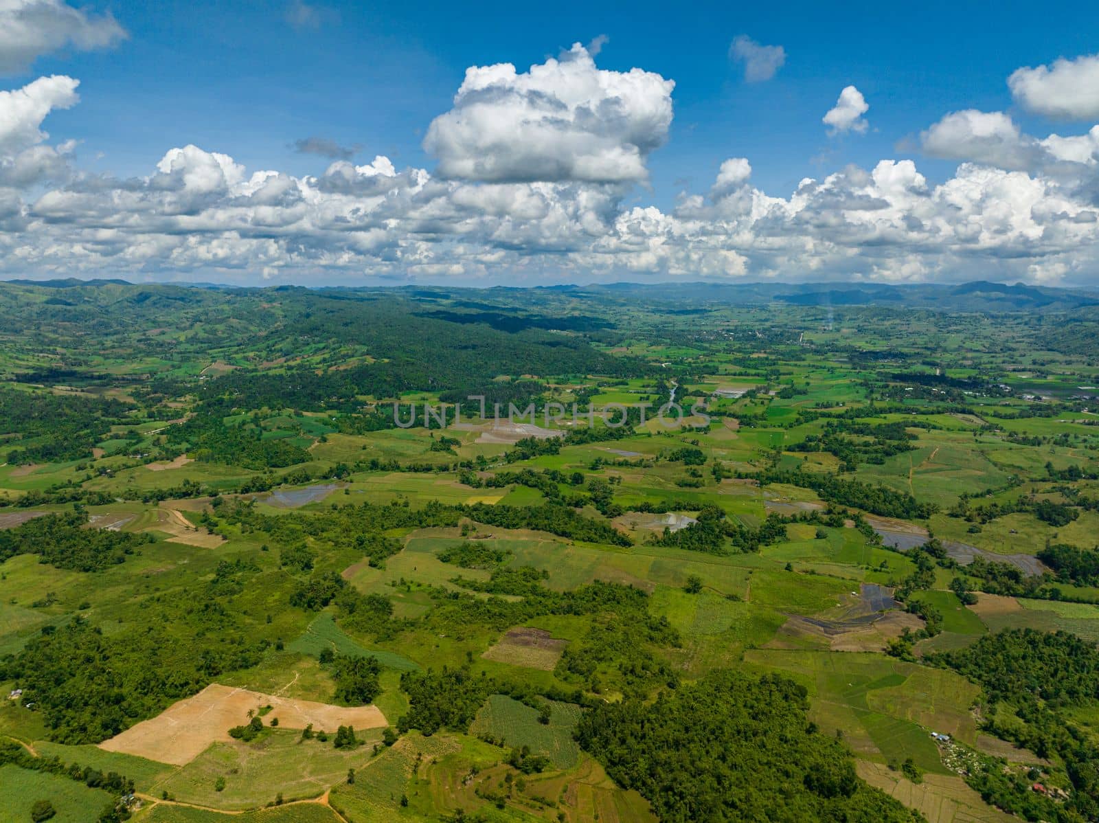 Farmland and plantations with vegetables in the countryside. Negros, Philippines
