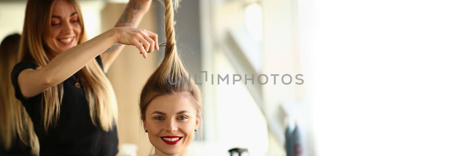 Professional female hairdresser stylist cuts hair of female client in salon. Beauty salon business concept