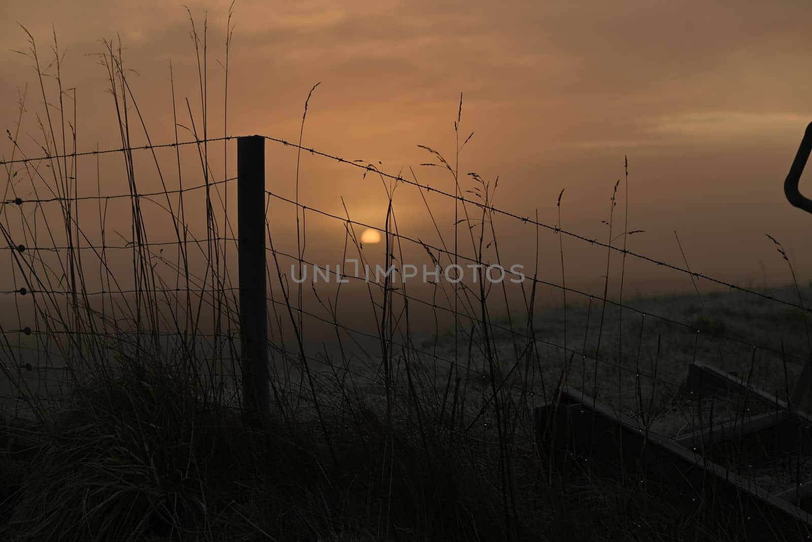 Beautyful sunrise behind a fence on a dike in winter by Luise123