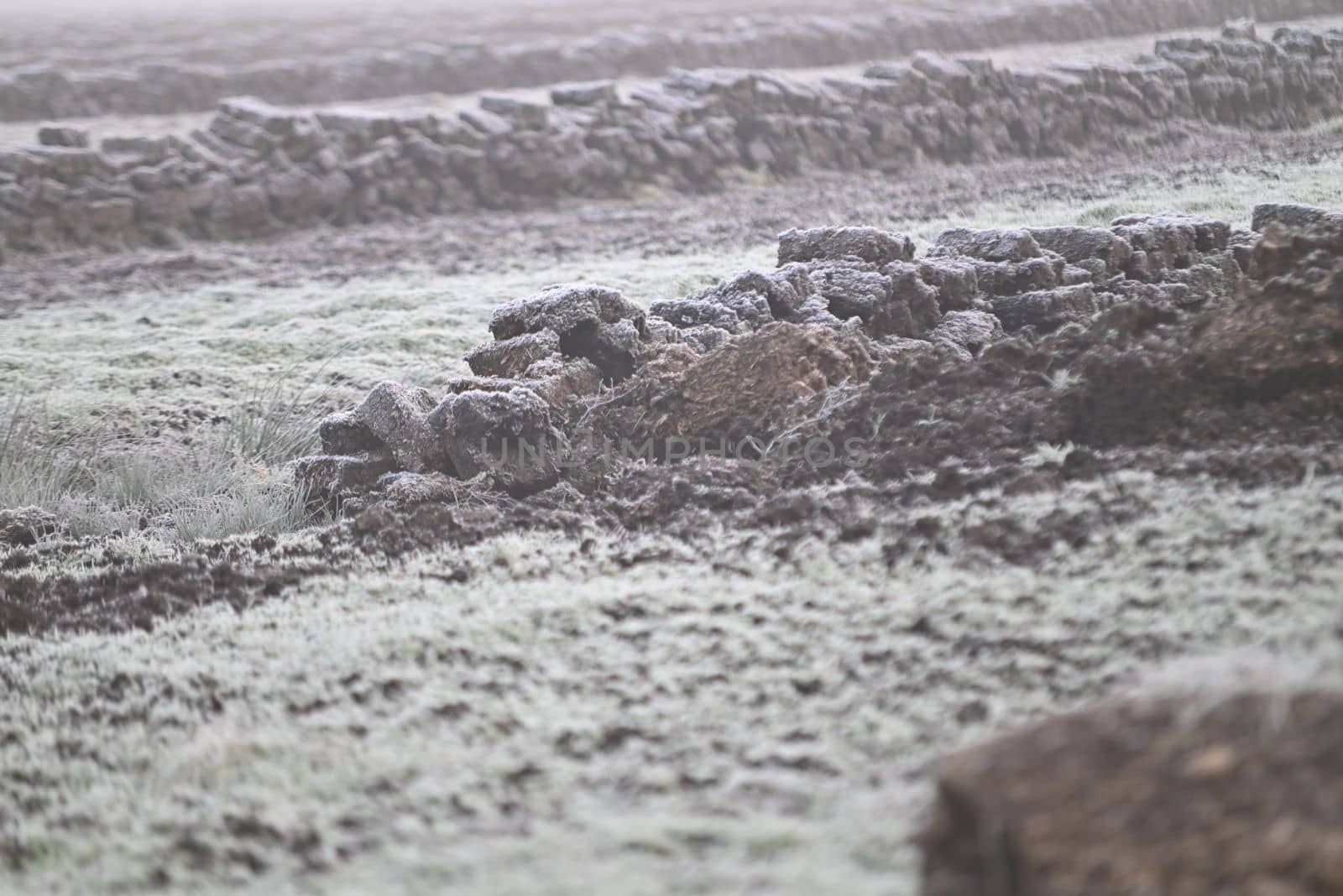 Pricked peat on a frosty foggy winter morning by Luise123