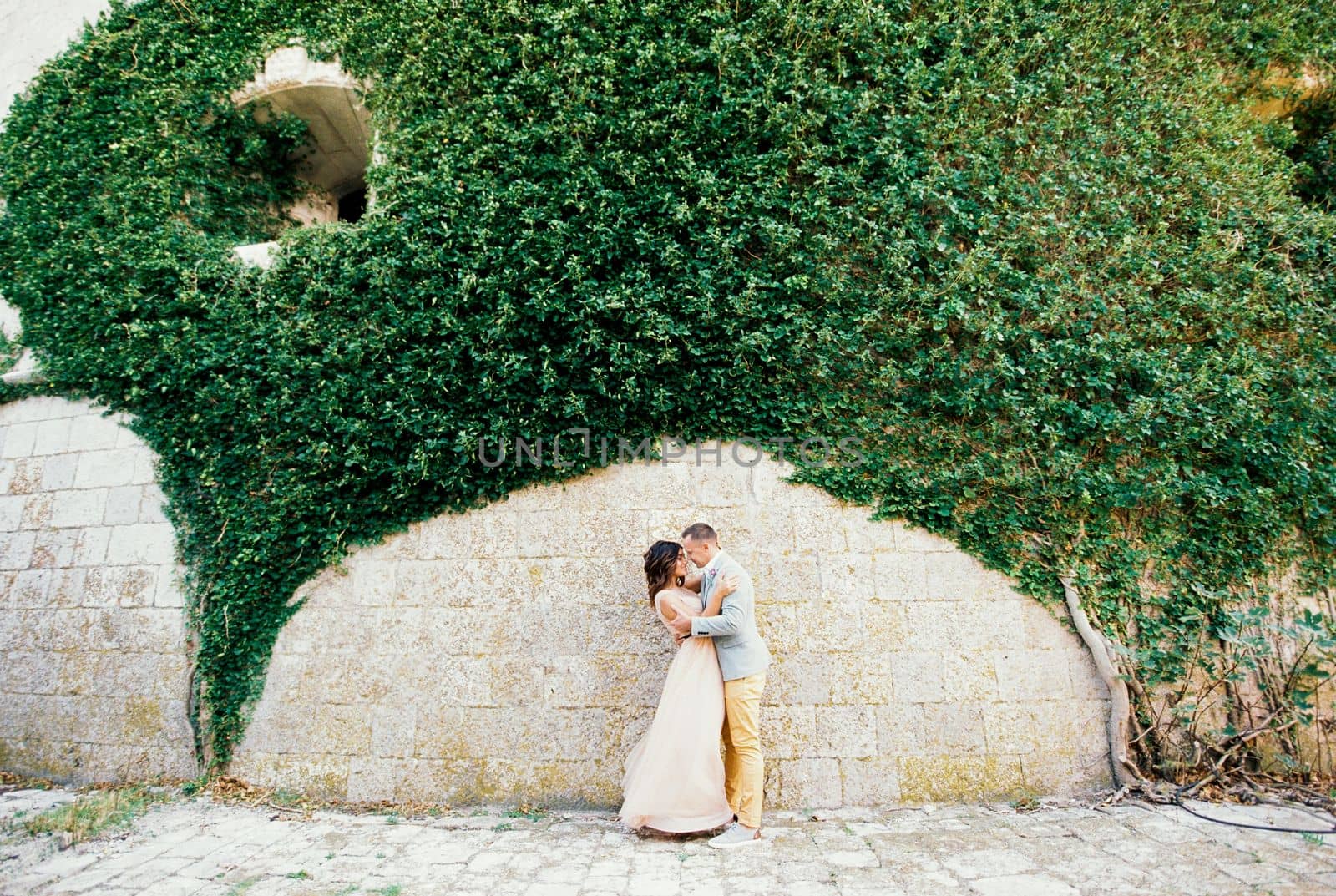 Groom hugs bride near the arch of green ivy on the stone wall. High quality photo