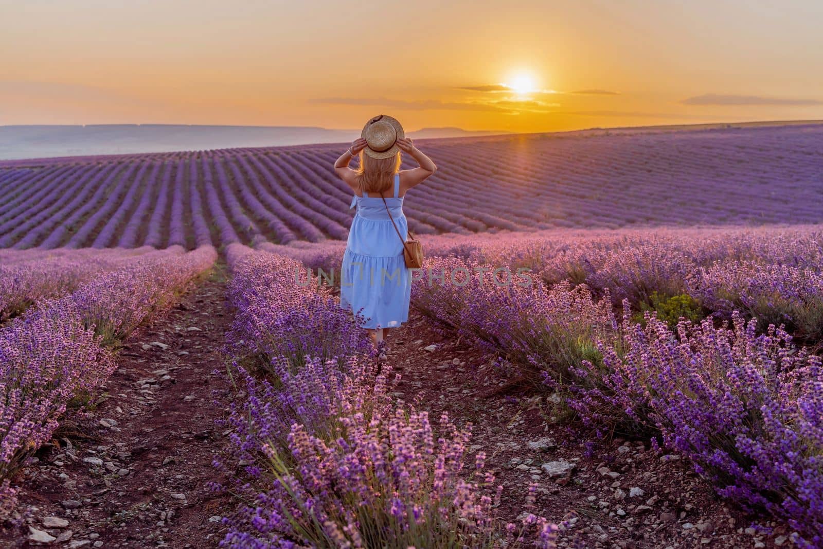 Woman lavender field sunset. Romantic woman walks through the la by Matiunina