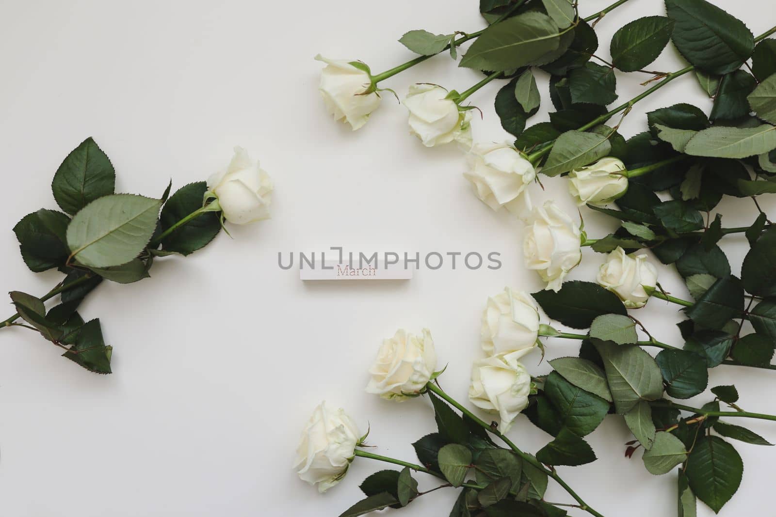 Concept of 8 March holiday. White roses on white background. International Women's Day. Flower Greeting card for women, floral composition. Spring, holiday layout festive background.