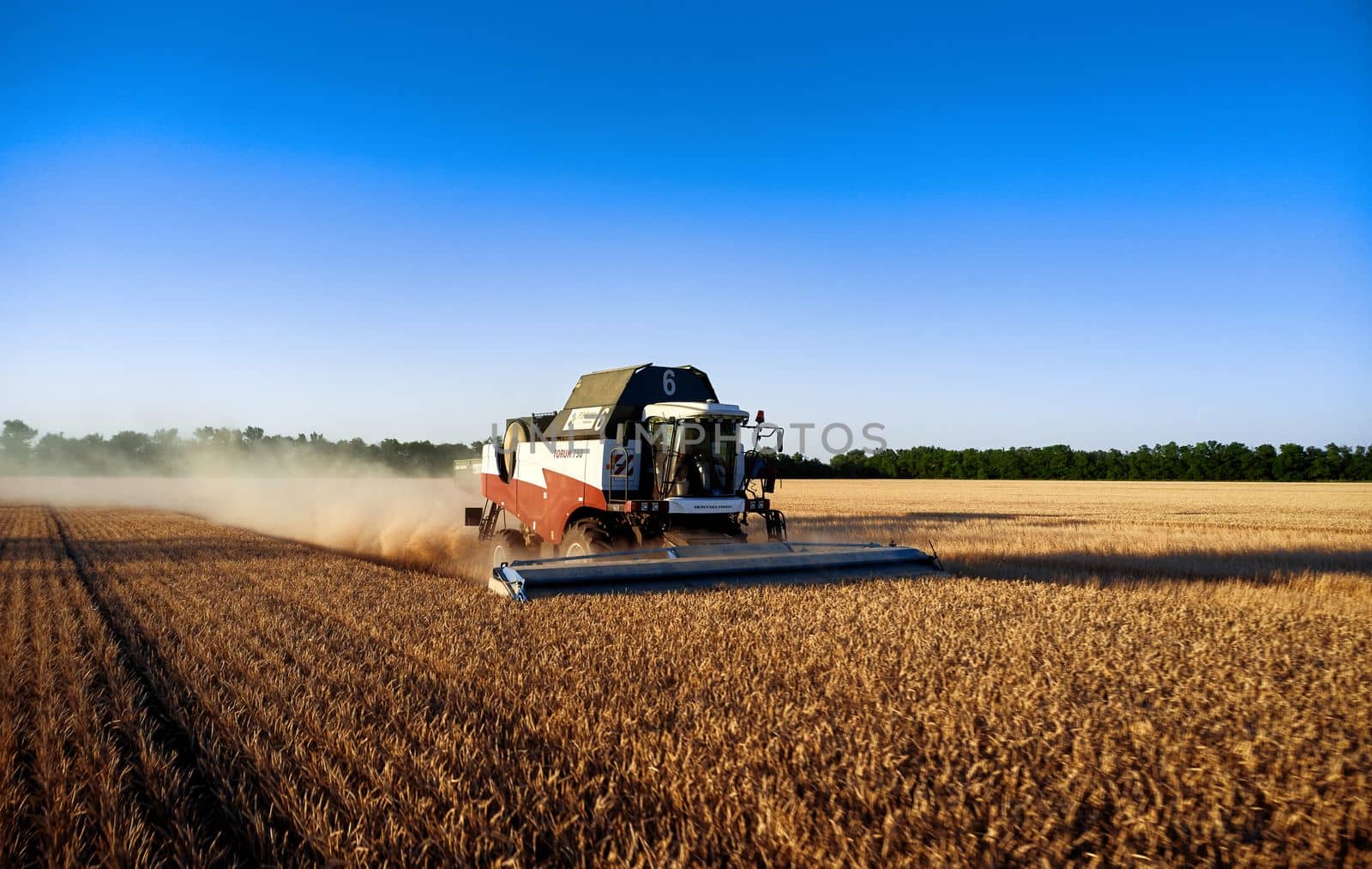 Harvester works in the field. Combine Harvesting Wheat. Field field of cereals during harvesting. Modern equipment works. 07.07.22, Rostov region, Russia.