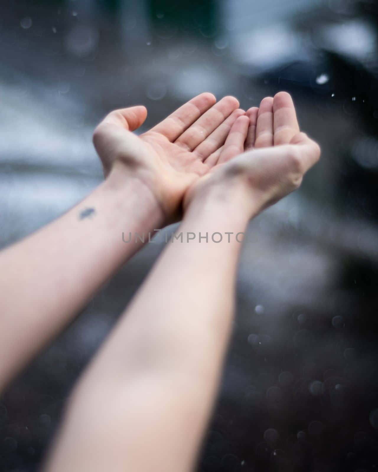 Close up of female hands shake hands out of snow at sunny winter day, snowflakes lightened by sun by scasal15