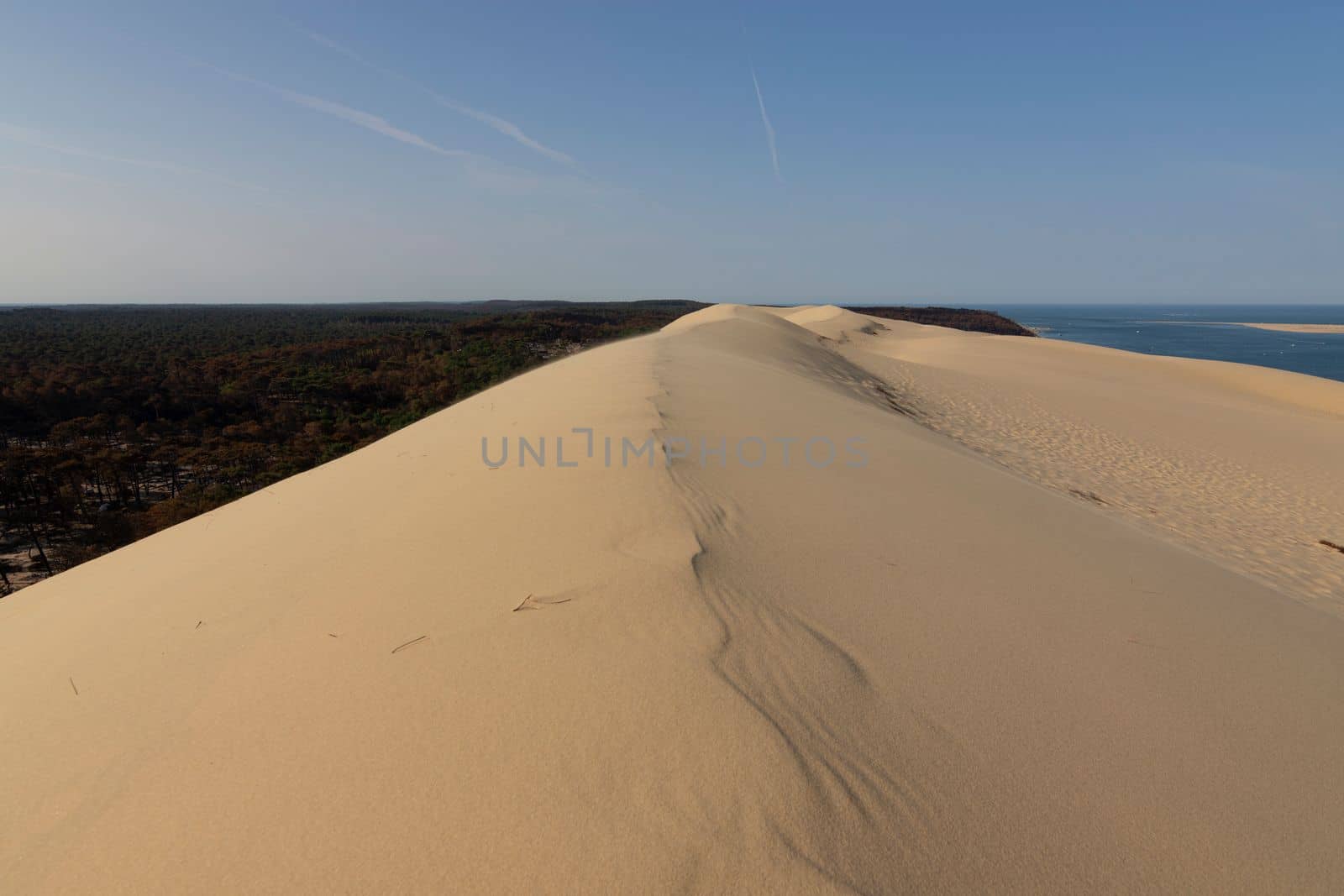 View of Dune du Pilat in France by scasal15
