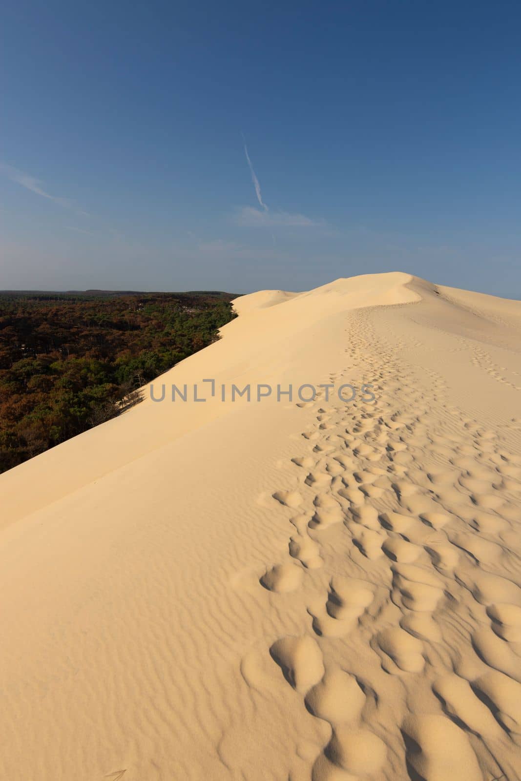 View of Dune du Pilat in France by scasal15