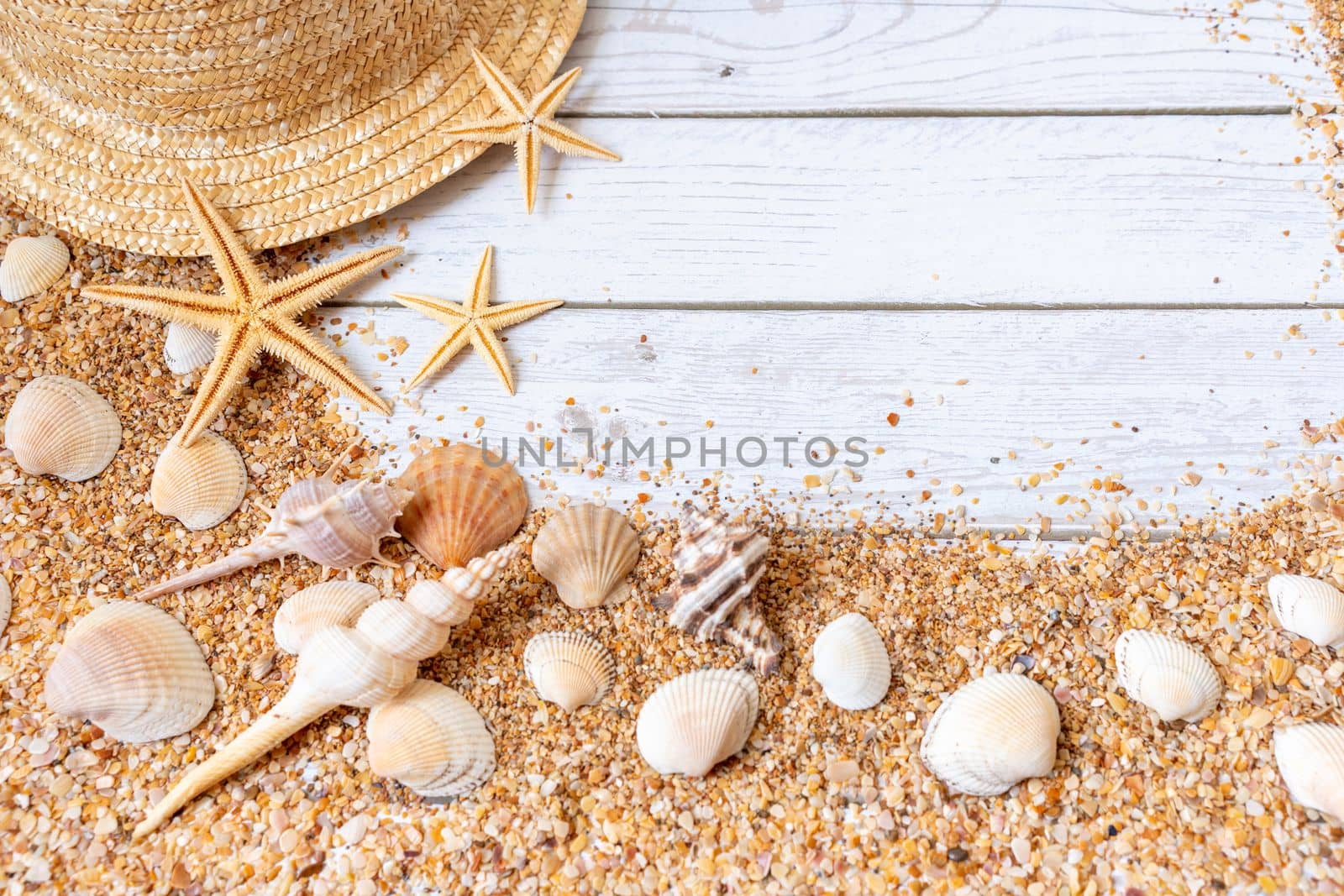 Sand seashells background. Summer time concept with sea shells and starfish on wooden background and sand by Matiunina