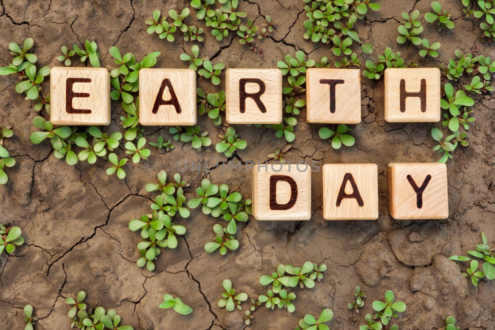 Cracked soil plants letter block toy cube wood text Earth day on dry ground plant sprout. Crack earth word block wooden cubes on cracked ground plant. Environment day on dry earth plant soil dry dirt