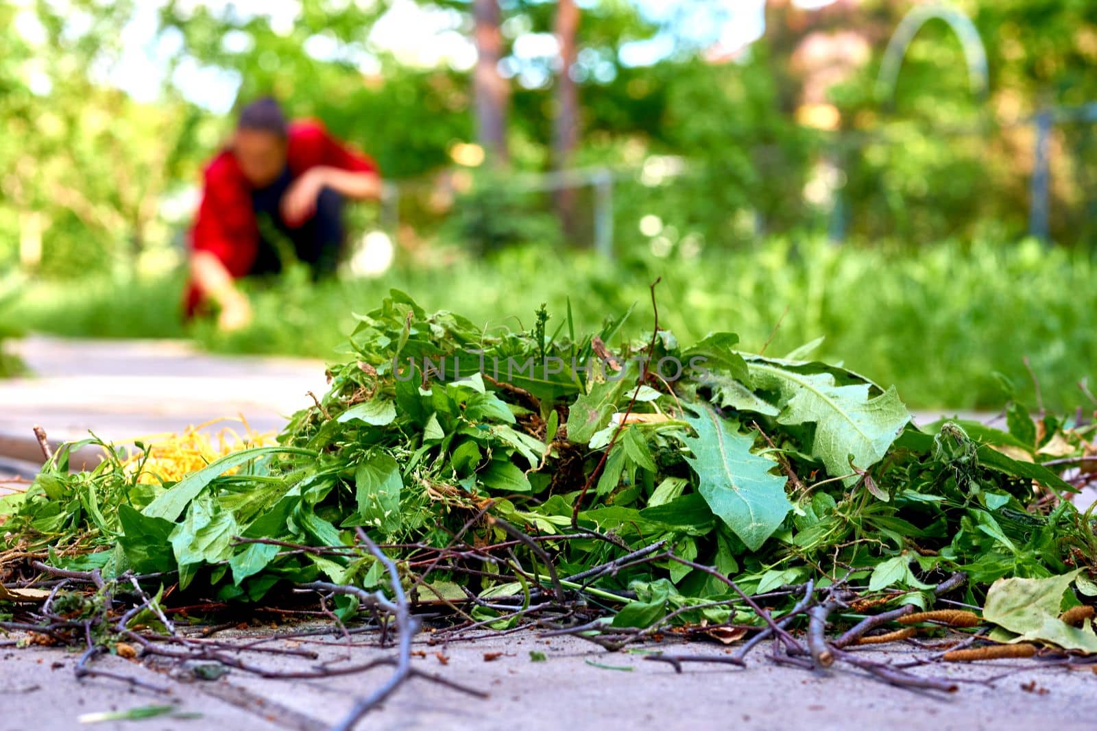 the action of making something clean, especially the inside of a house