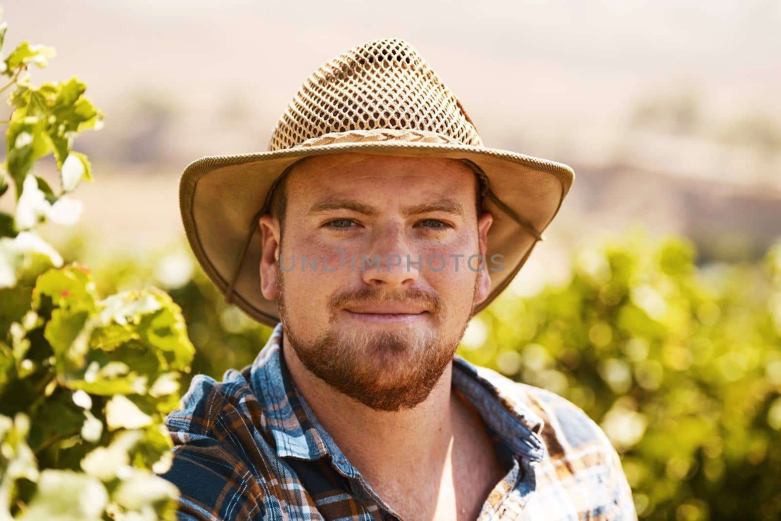 Hes the one who keeps the farm thriving. Portrait of a farmer standing in a vineyard. by YuriArcurs