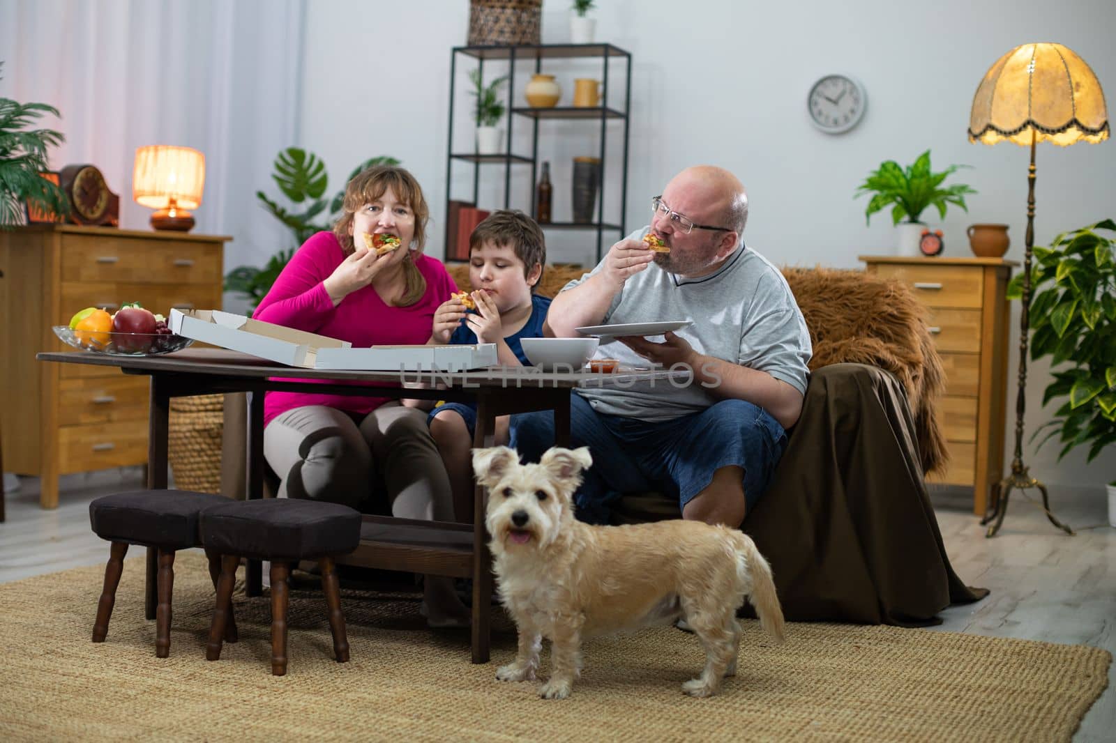 The dog didn't get any slice of pizza and is looking around for the next delivery. The family of her tasty pizza.
