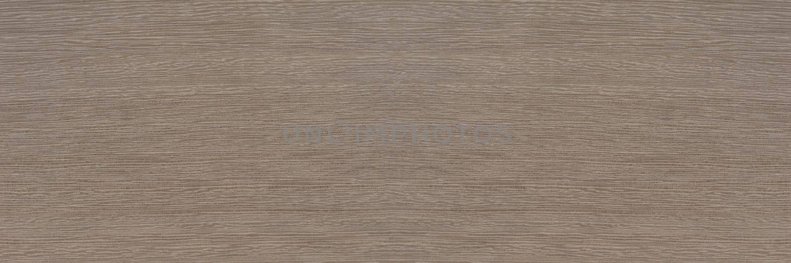 Texture of exotic wood. Close-up of the texture of lati wood, the structure of the breed of the aurican tree lati silver ash color.