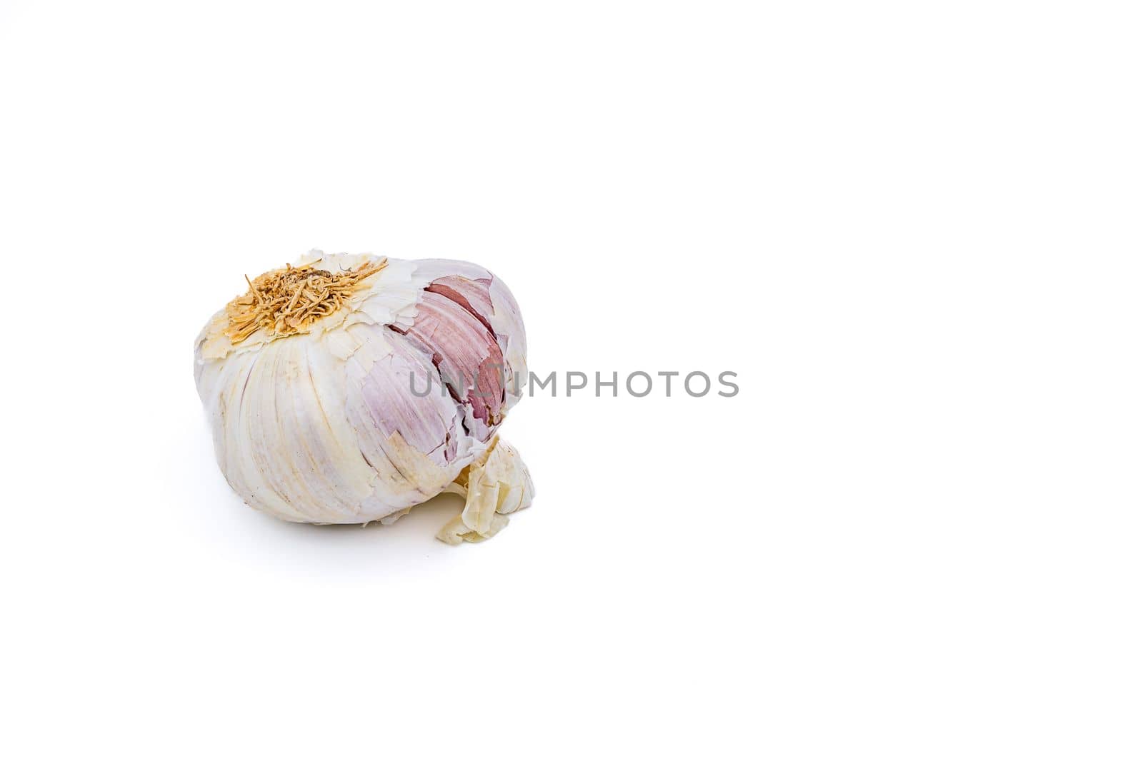 One organic garlic bulb cropped against white background in studio