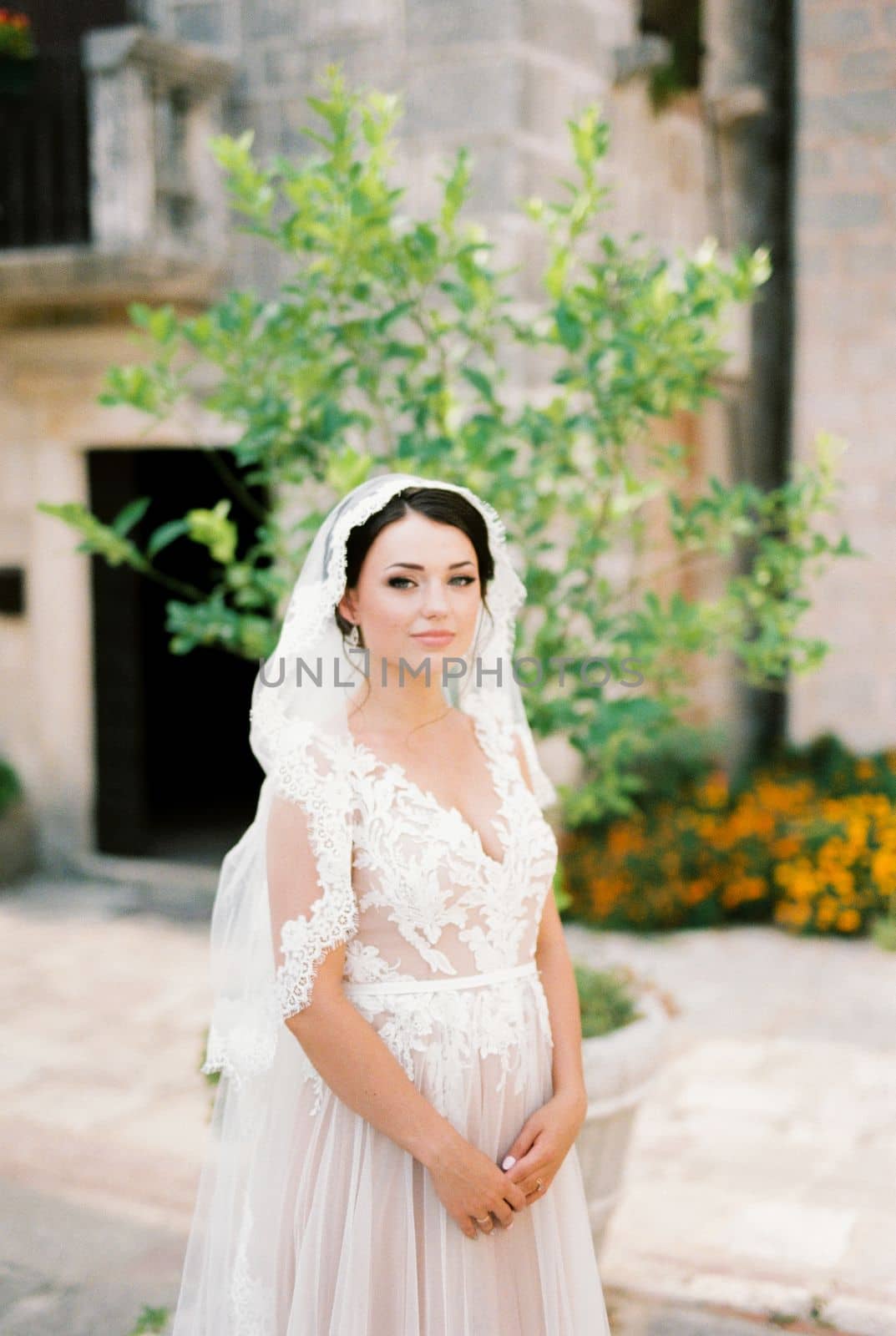 Bride in a veil stands near a tub with a tree. High quality photo