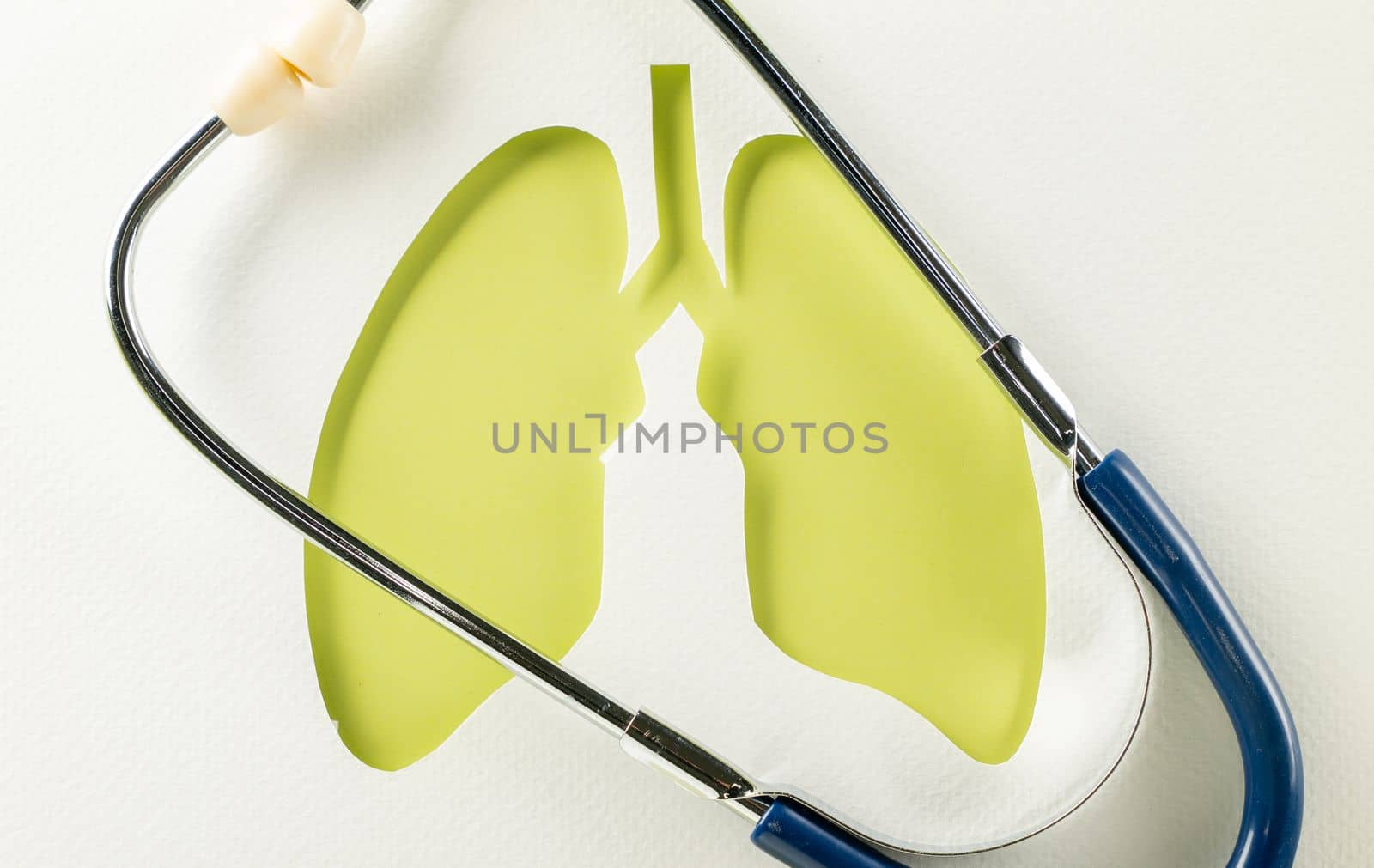 World Tuberculosis Day. Overhead lungs green paper symbol and medical stethoscope on white background, lung cancer awareness, copy space concept of world TB day, banner background, pneumonia awareness