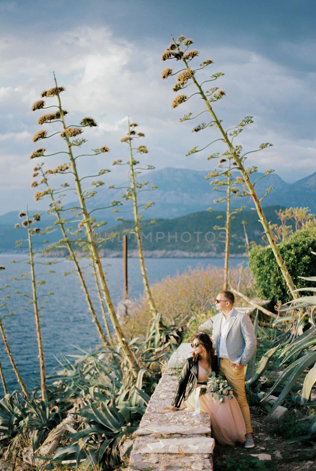 Groom stands next to bride sitting on a stone fence near large agave bushes. High quality photo