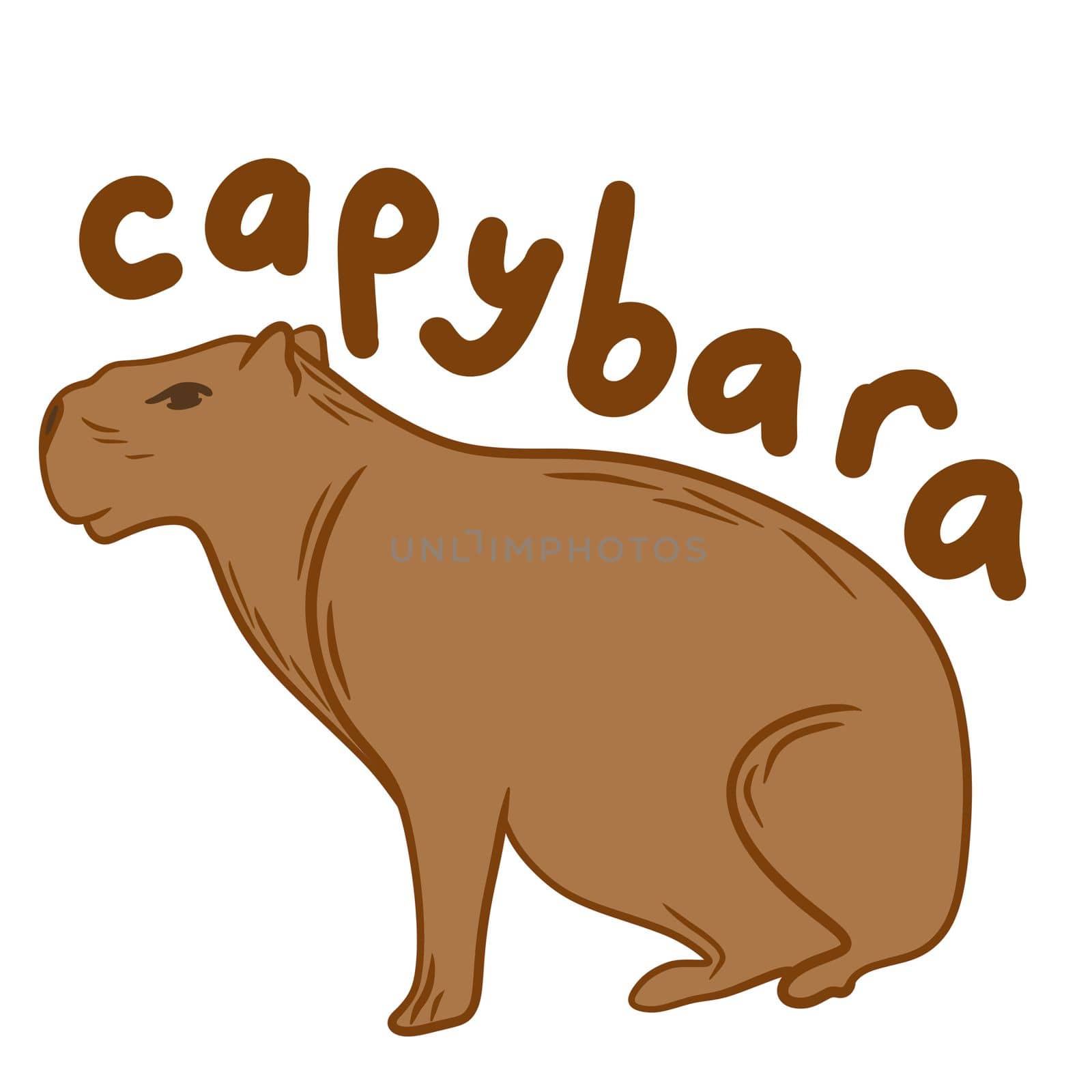 Hand drawn illustration of cute capybara animal in beige brown on white background. Wild wildlife nature, zoo zoology animal mascot, rodent silhouette furry species, simple minimalist line design. by Lagmar