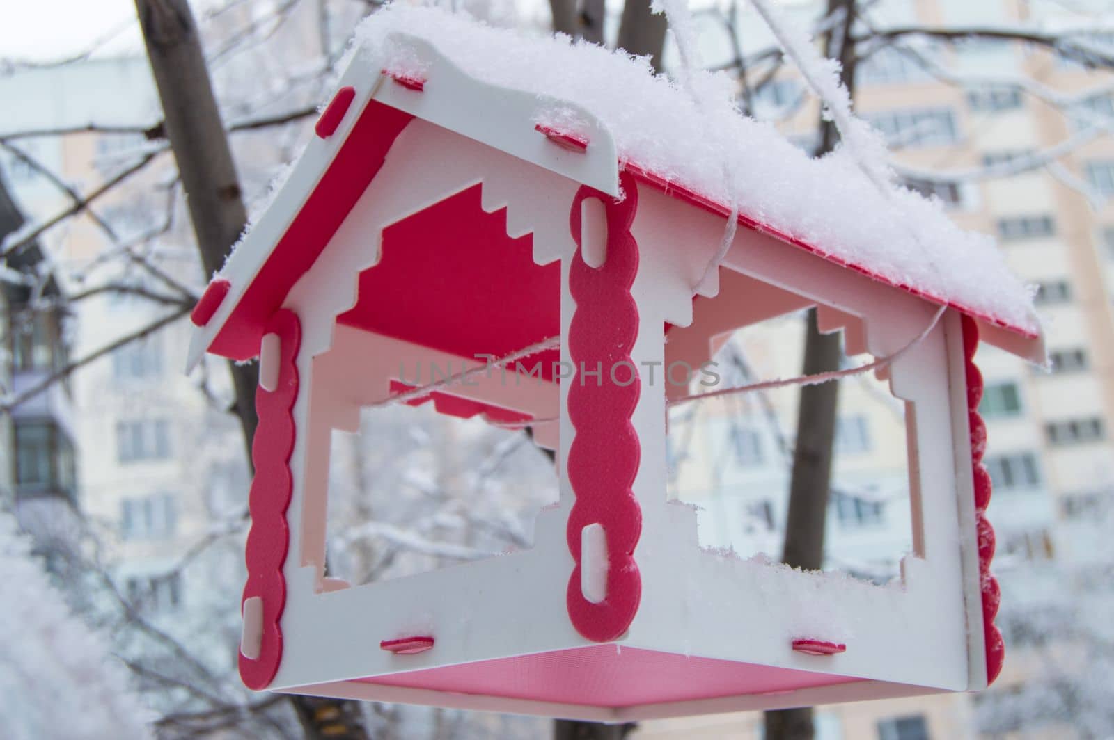 Red bird feeder hanging on a tree covered with snow in the city in winter.
