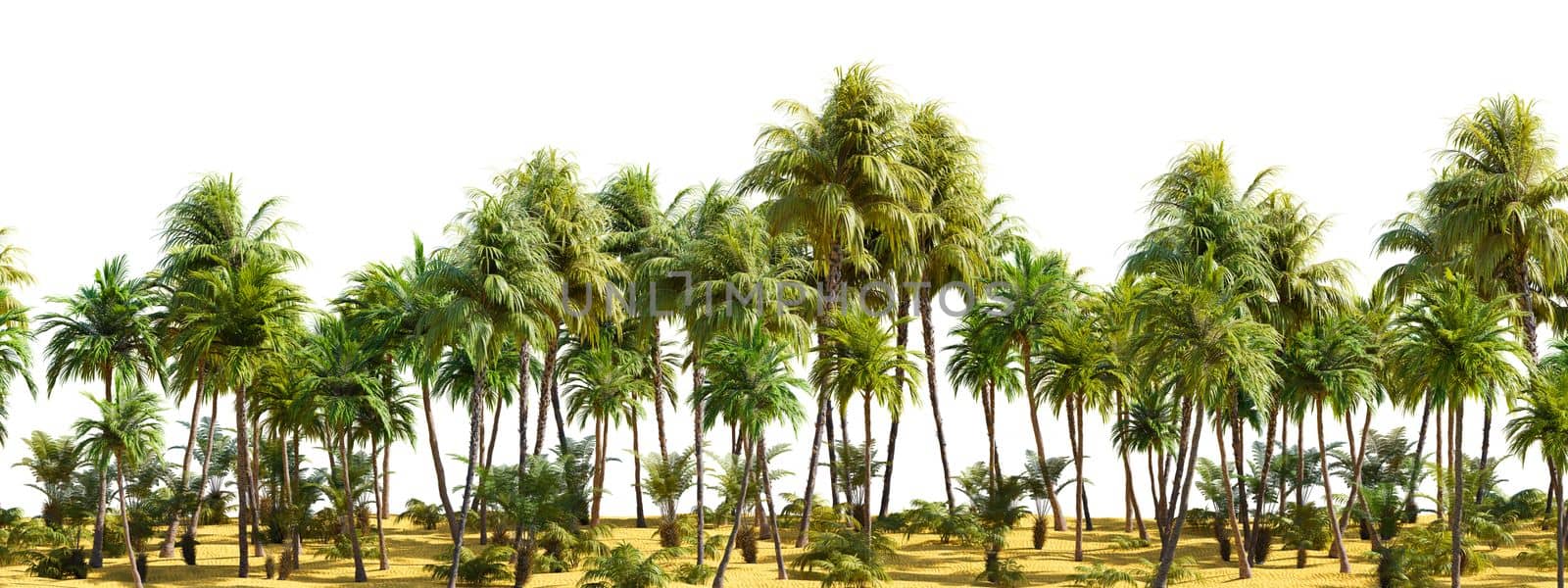 Row of palm trees on a sandy beach on white transparent background. 3D rendering illustration.
