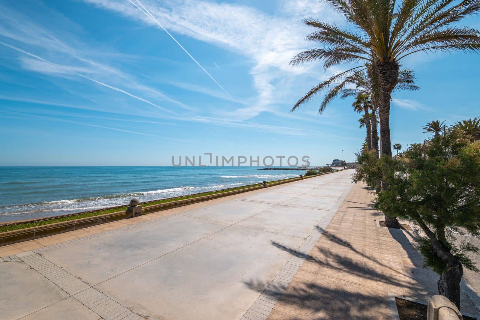 Excellent walks along the shore of the sea with azure water along a pedestrian road made of concrete slabs. Cloudless bright blue sky with bright sunlight overhead. Palm trees grow along the road. by apavlin