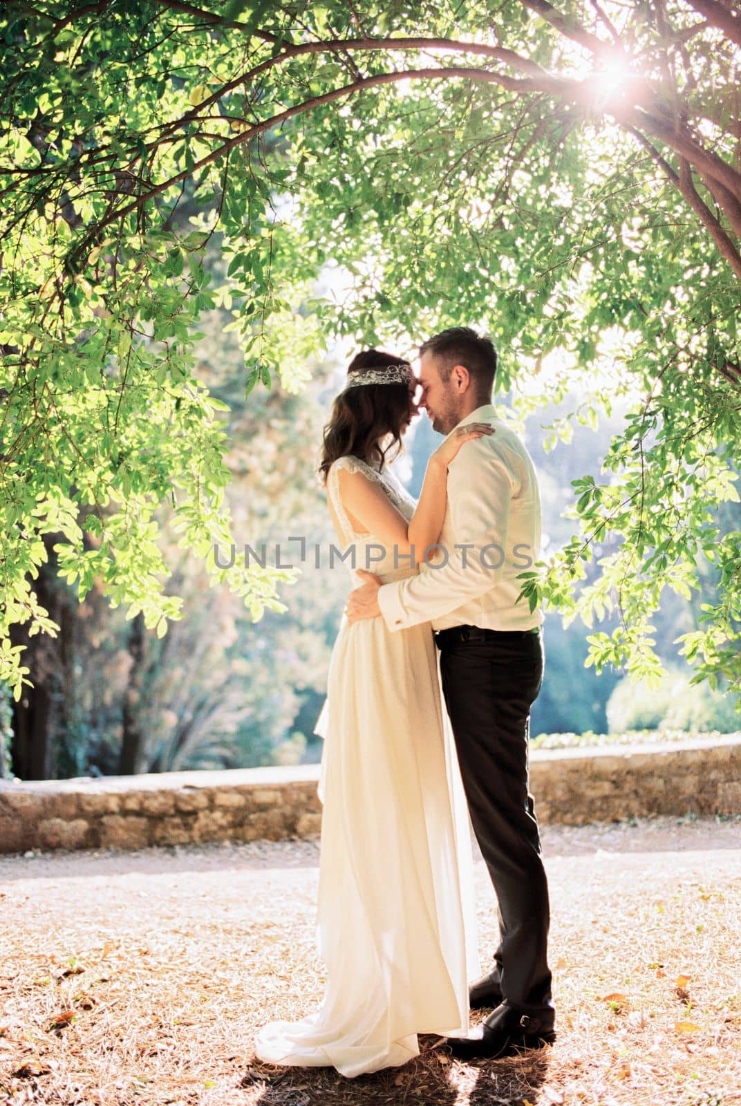 Bride and groom stand under the sun shining through the green branches of a tree. High quality photo
