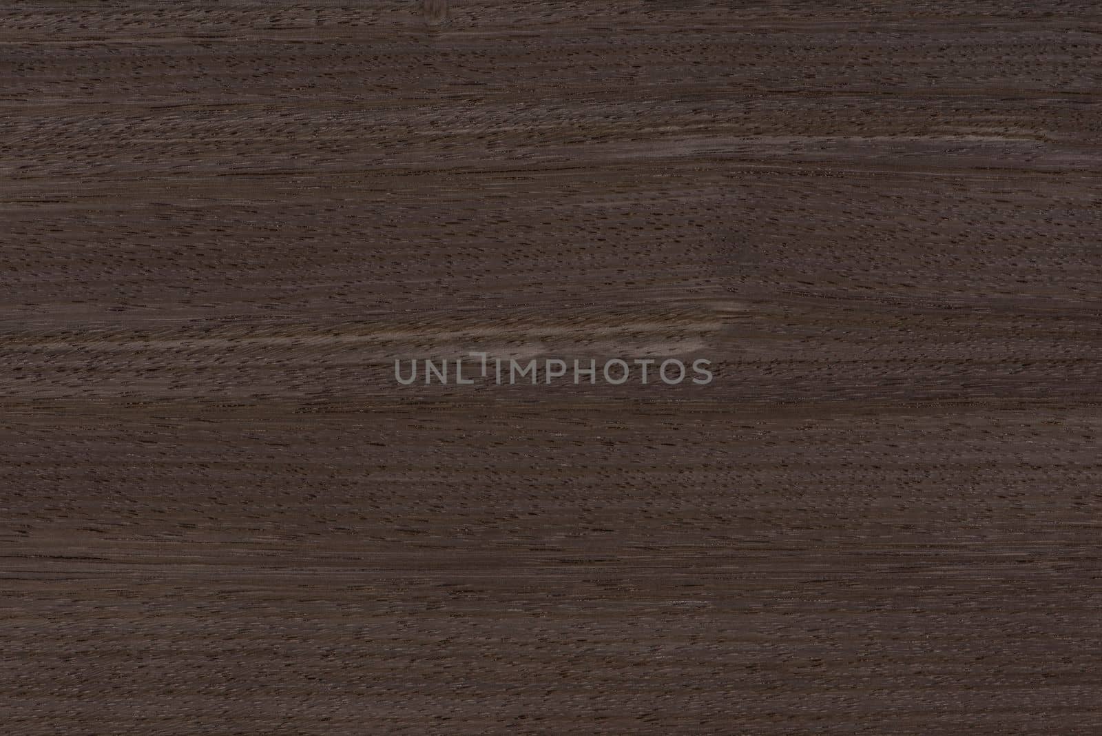 Texture of wood with stripes. Texture of natural African wood with zebra pattern. High resolution photo of a brown black board. by SERSOL