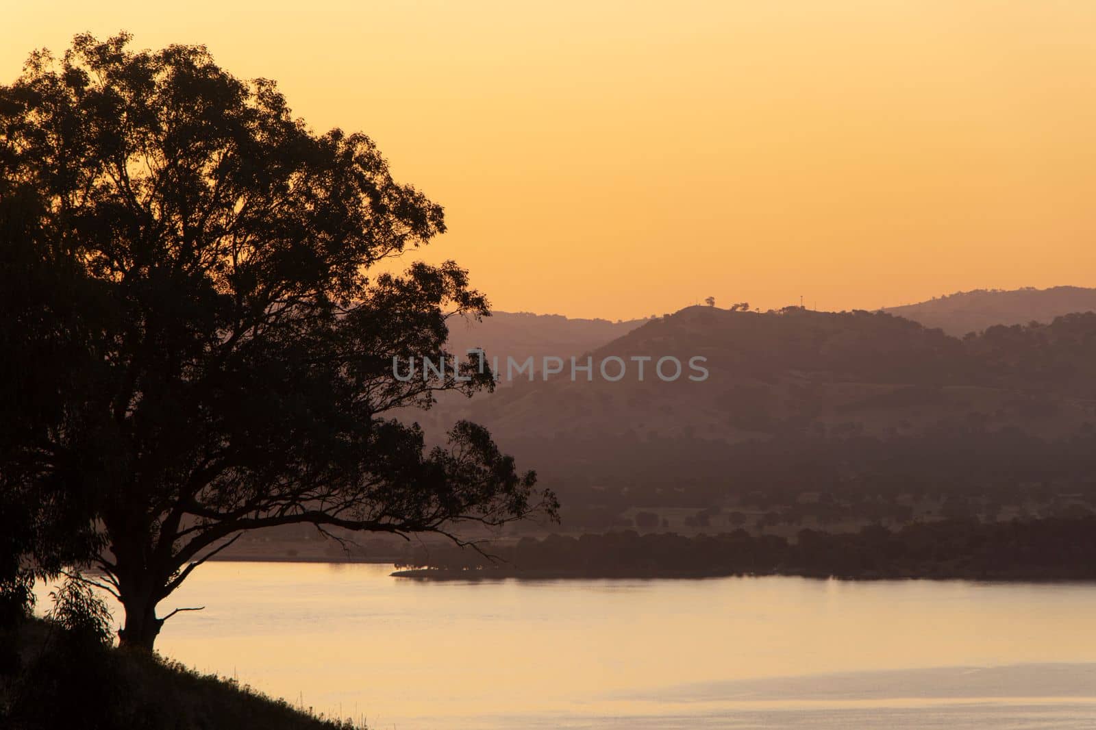 This stunning image captures the tranquil beauty of a sunset over Lake Hume, Victoria, with a striking silhouette of a tree. Perfect for use in advertising, websites, or as wall art for nature lovers.