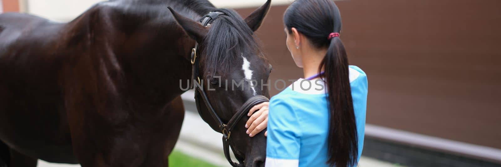 Veterinarian strokes and communicates with horse outdoors. Medical examination services and assistance to horses concept
