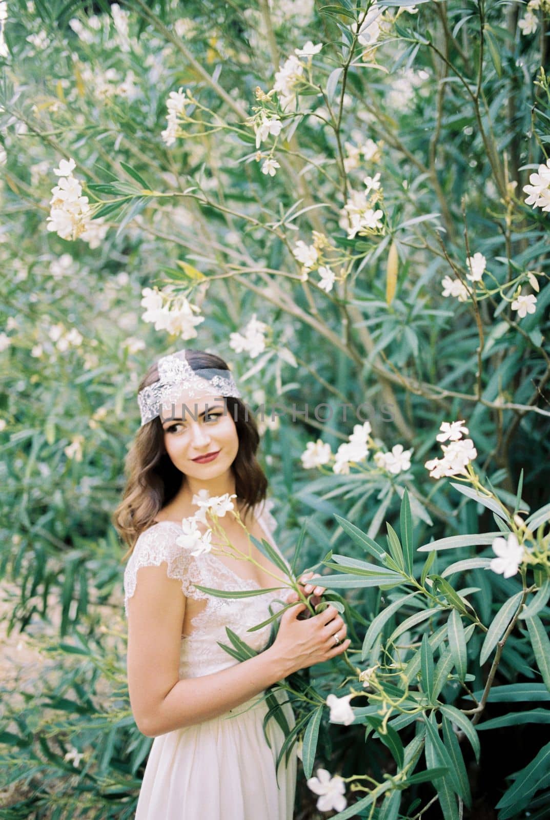 Bride stands near a flowering bush of white oleander. High quality photo