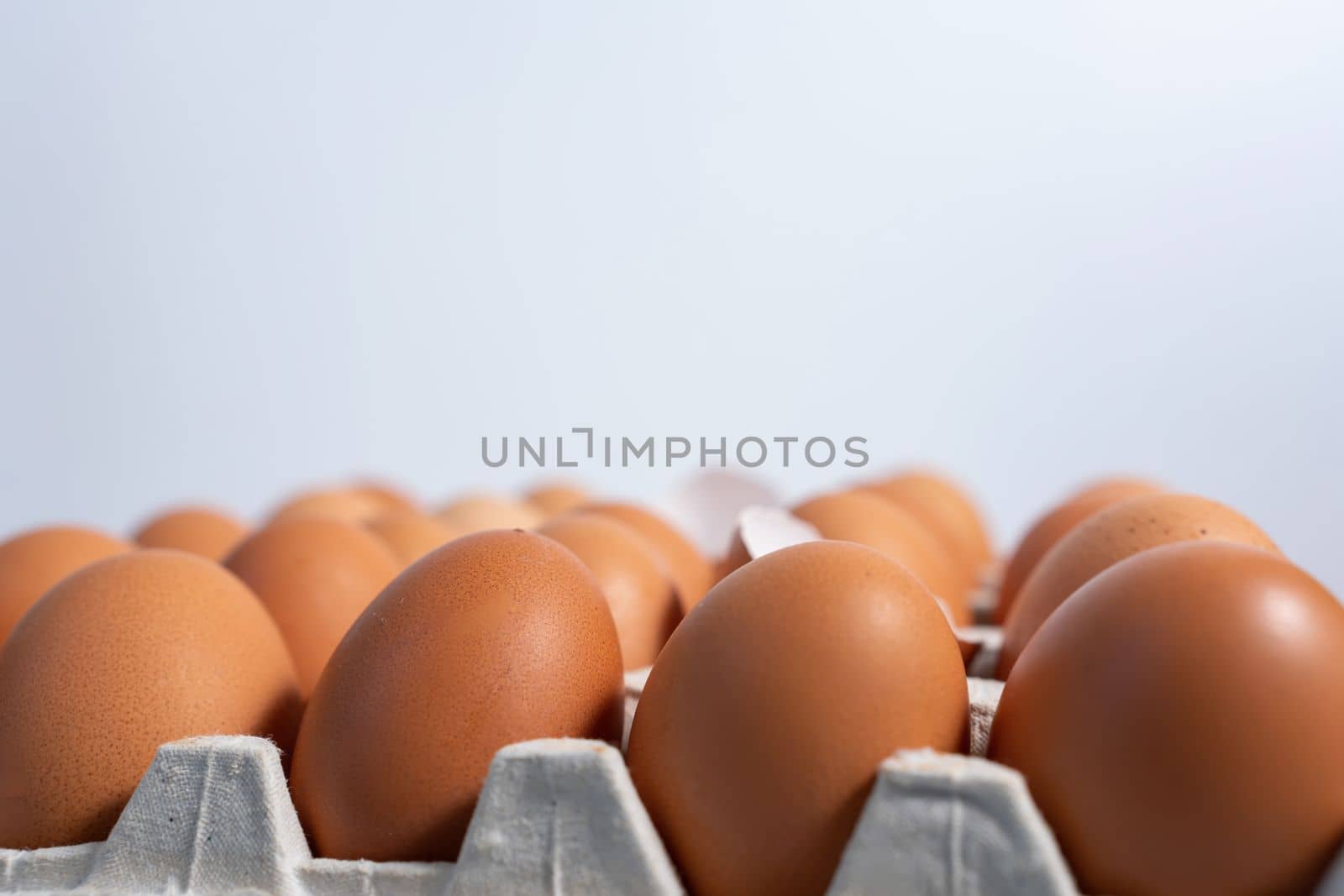 Fresh eggs in the egg stall. Egg tray or Egg panel by Matiunina