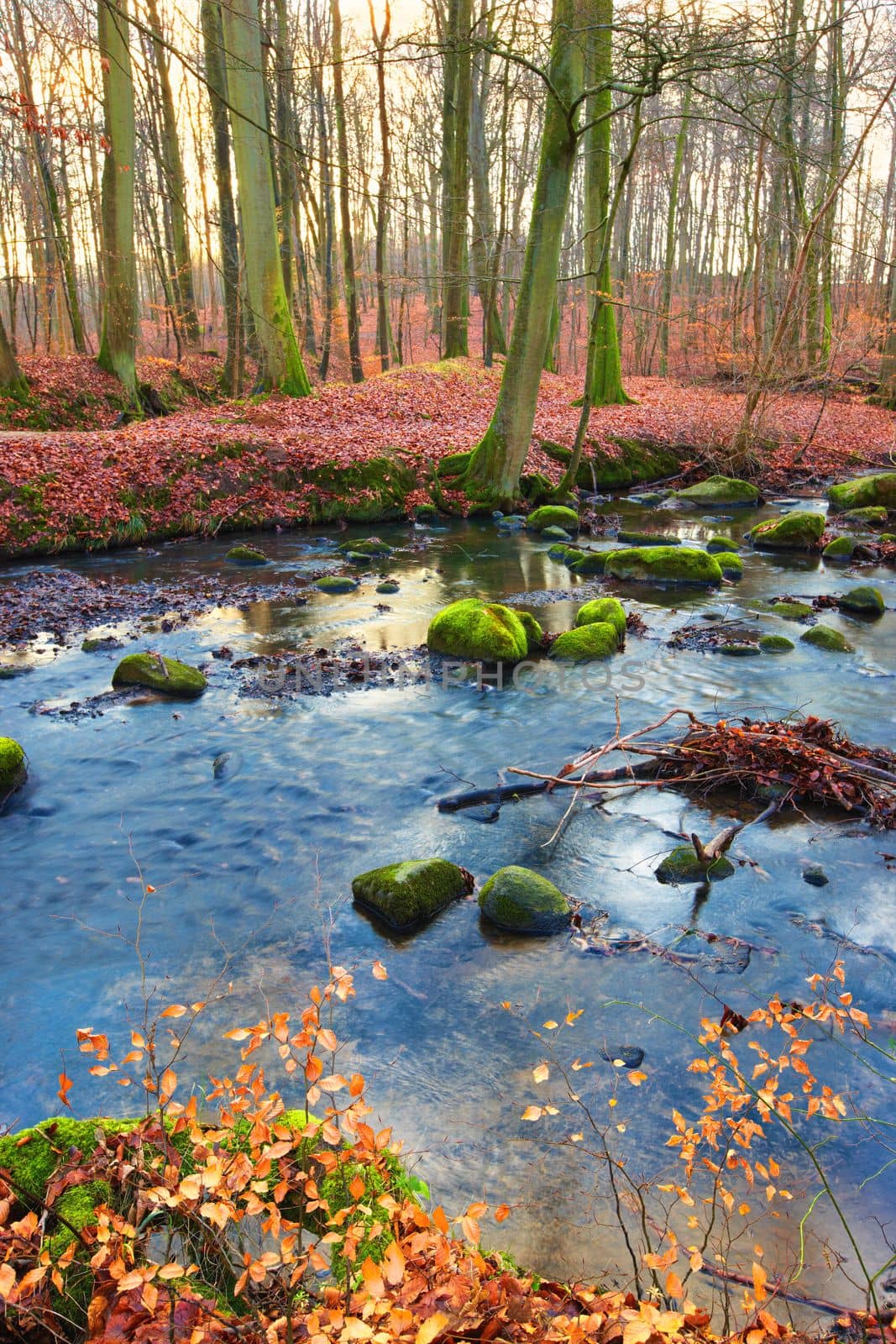 Autumn in the colors of autumn. A colorful photo of forest and river in the fall