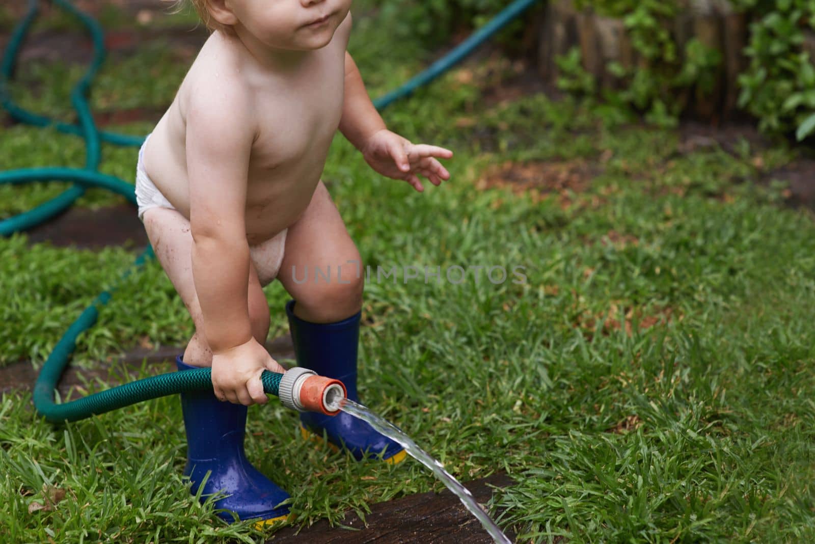 Hosepipe horseplay. A young toddler standing outside playing with a hosepipe