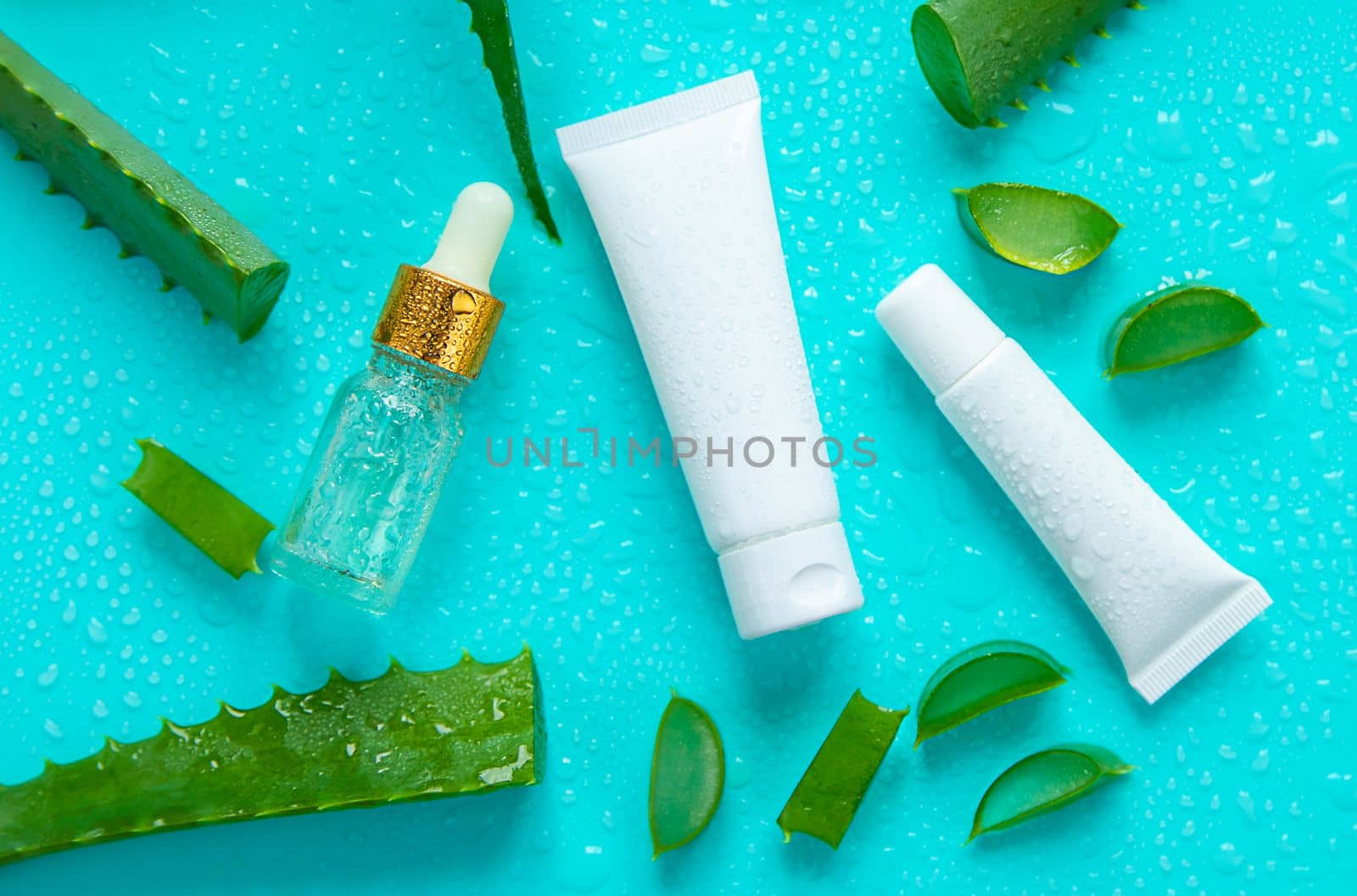 Aloe vera cosmetics and medicine. Selective focus. by yanadjana
