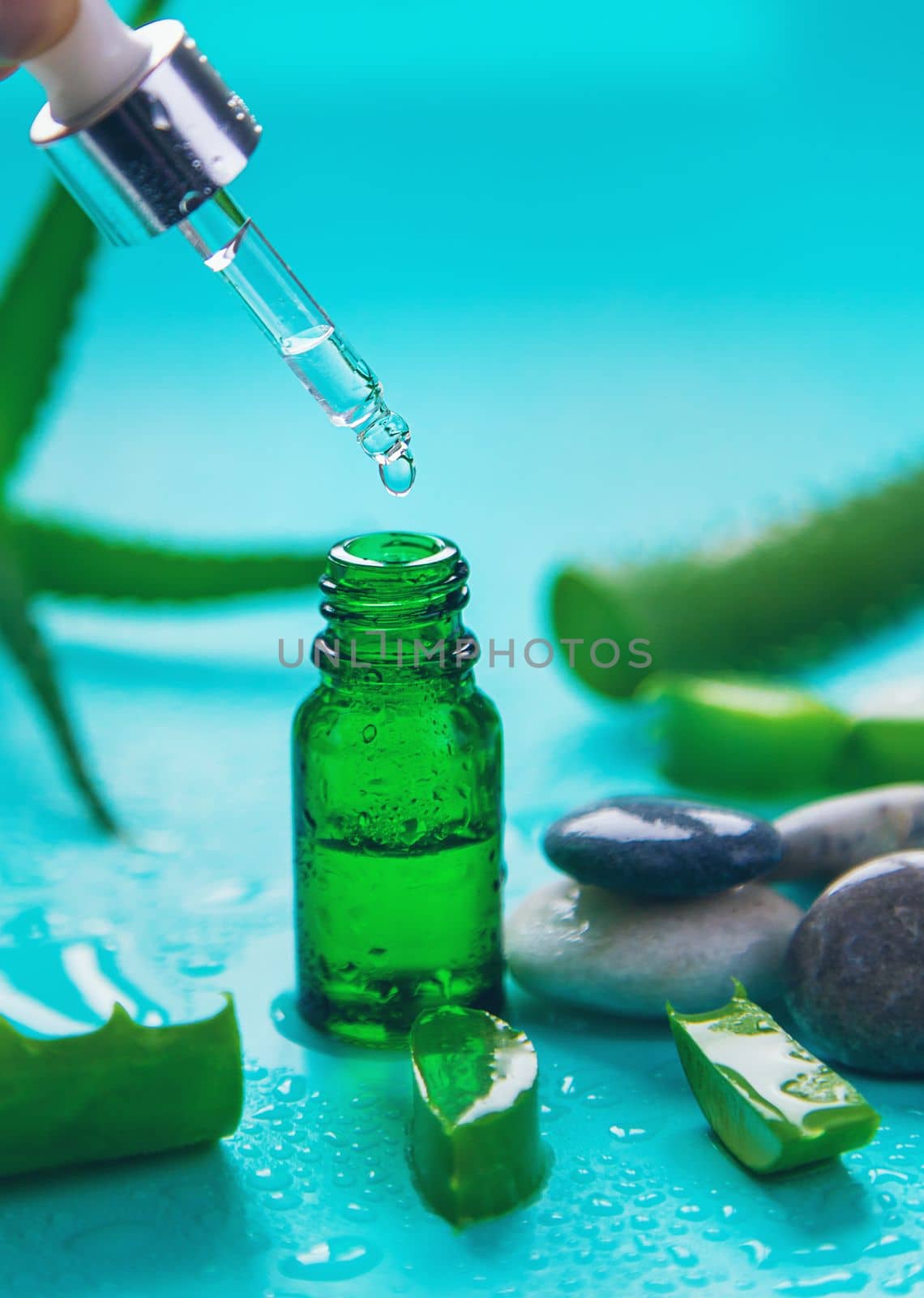 Aloe vera cosmetics and medicine. Selective focus. Nature.